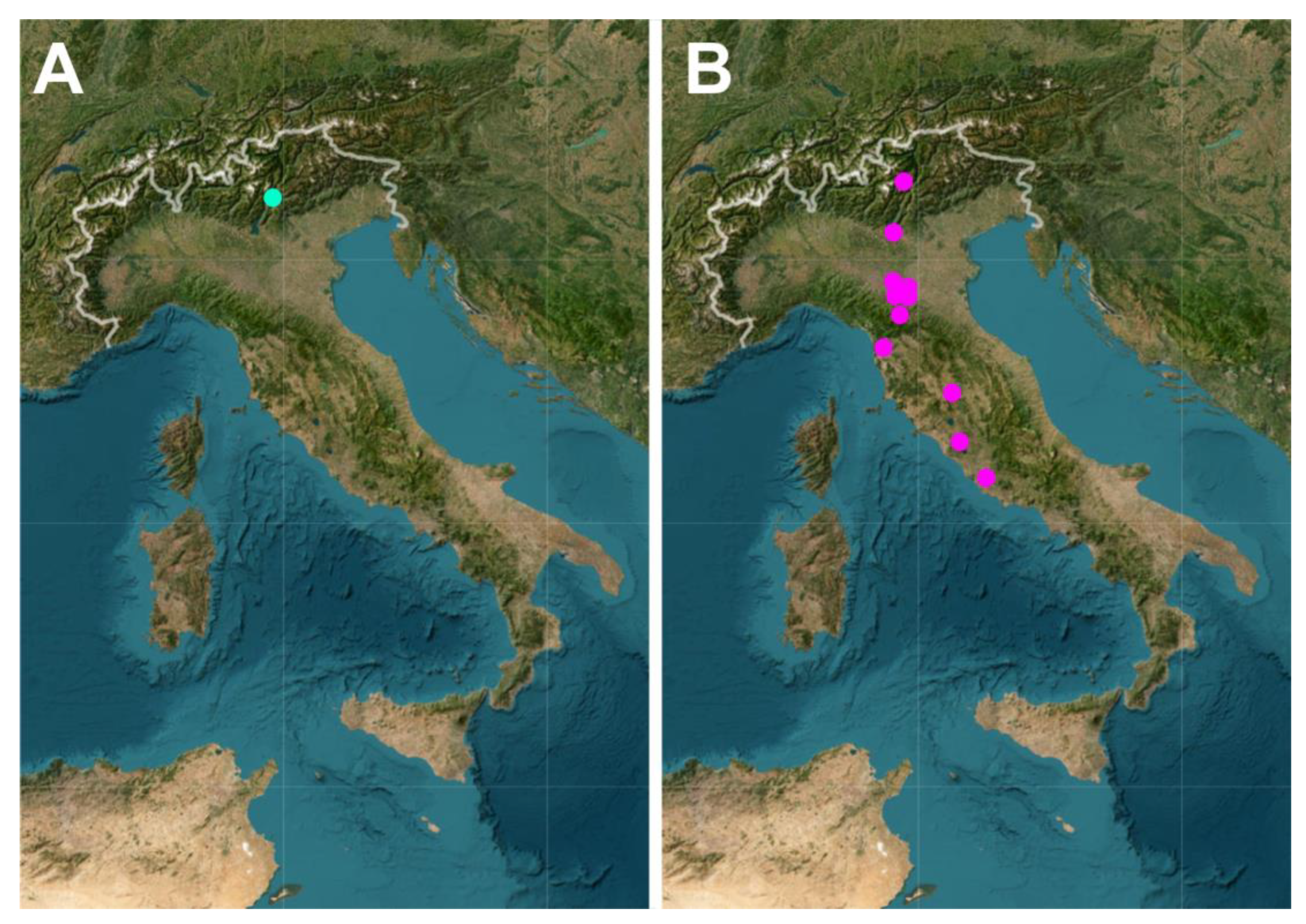 Diversity 16 00017 g008