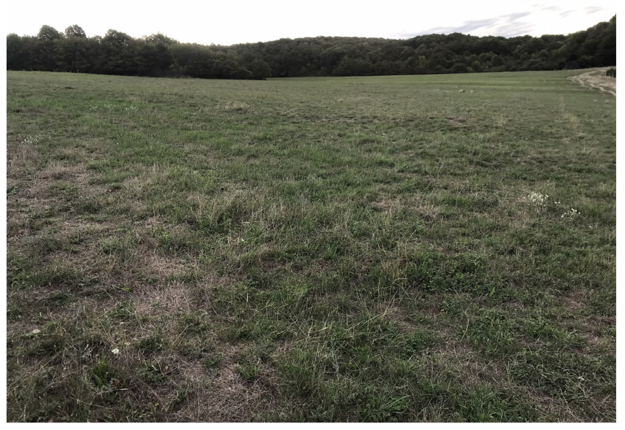 Diversity 16 00019 g002