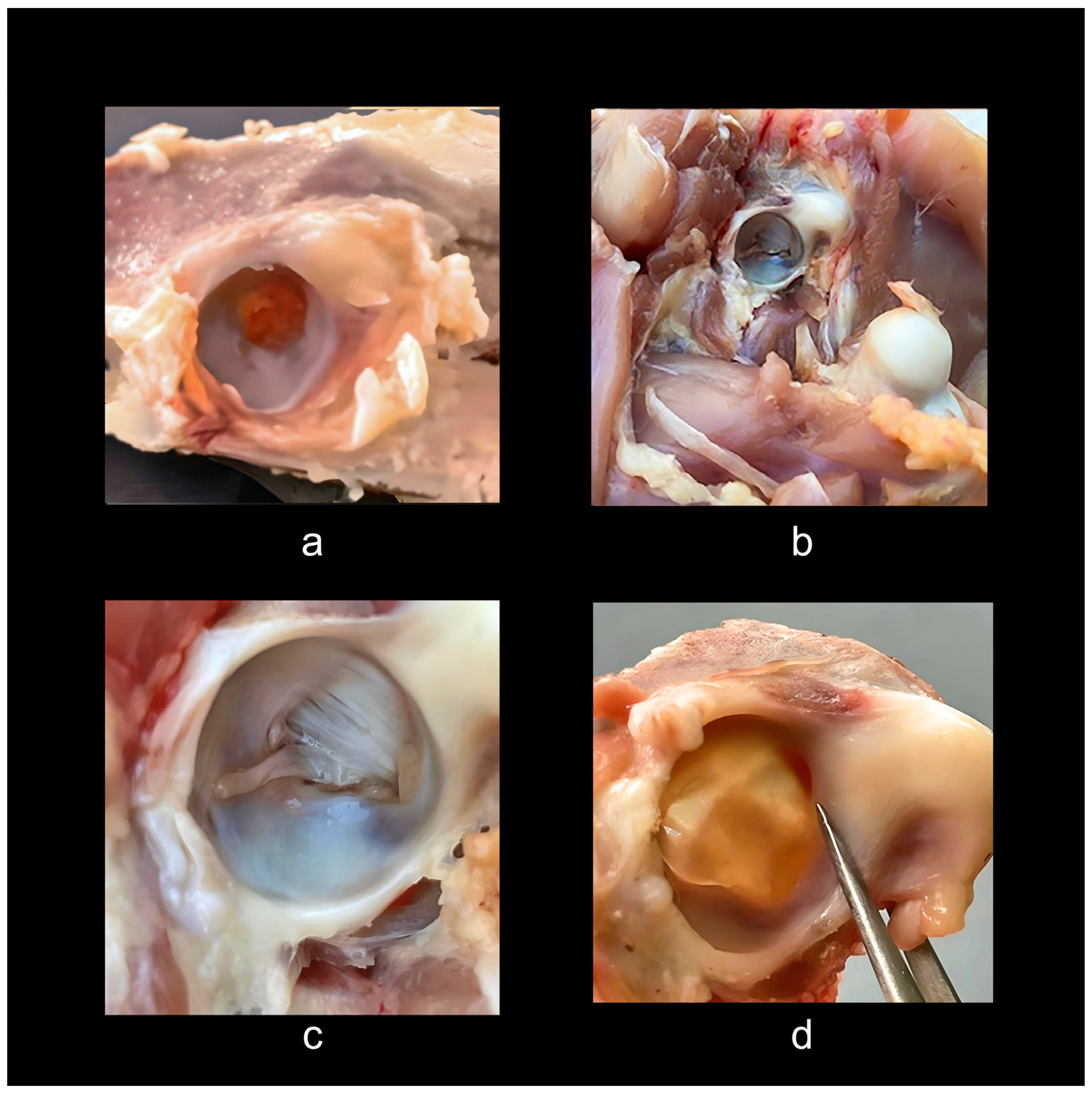 Diversity 16 00020 g006