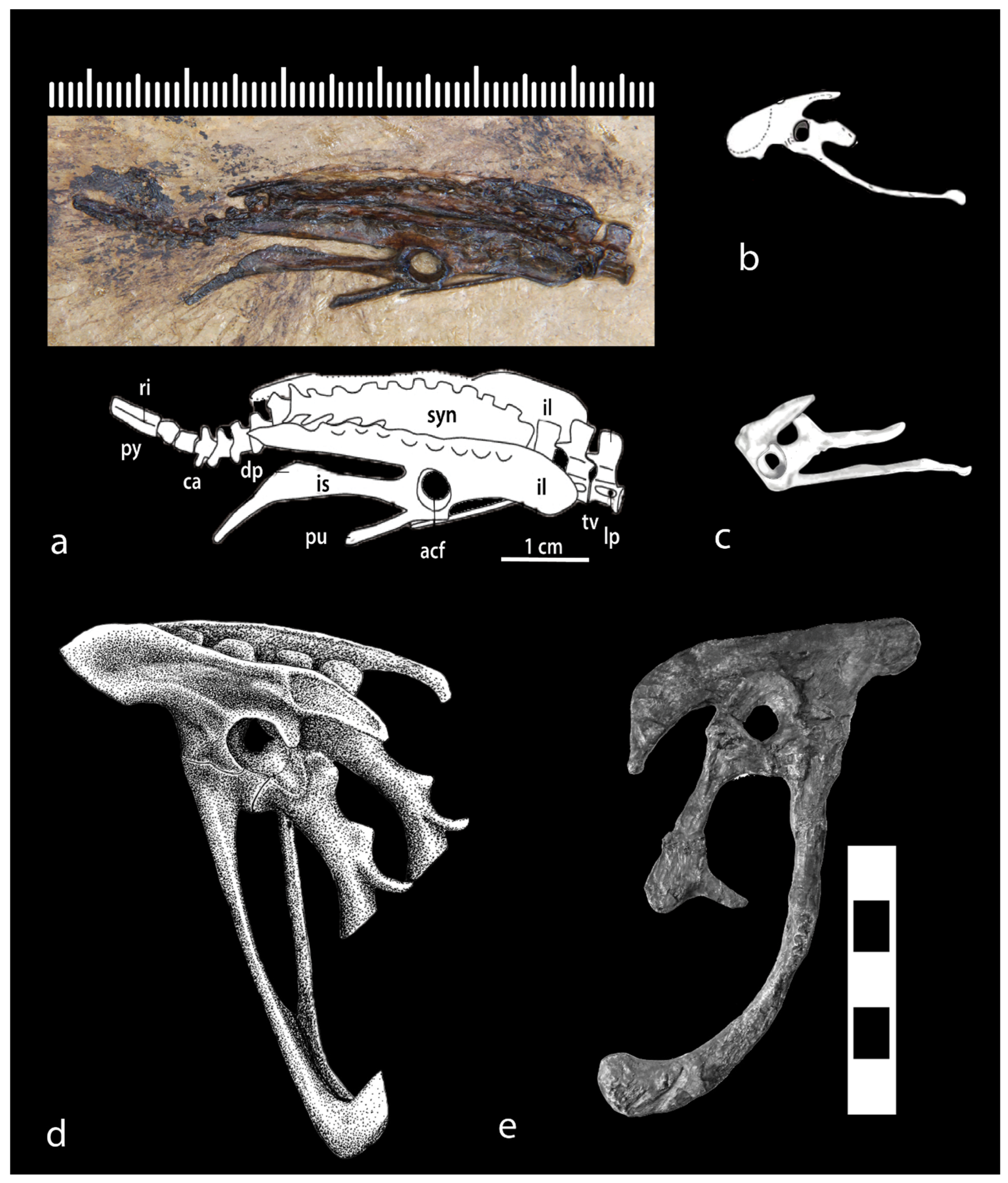 Diversity 16 00020 g008