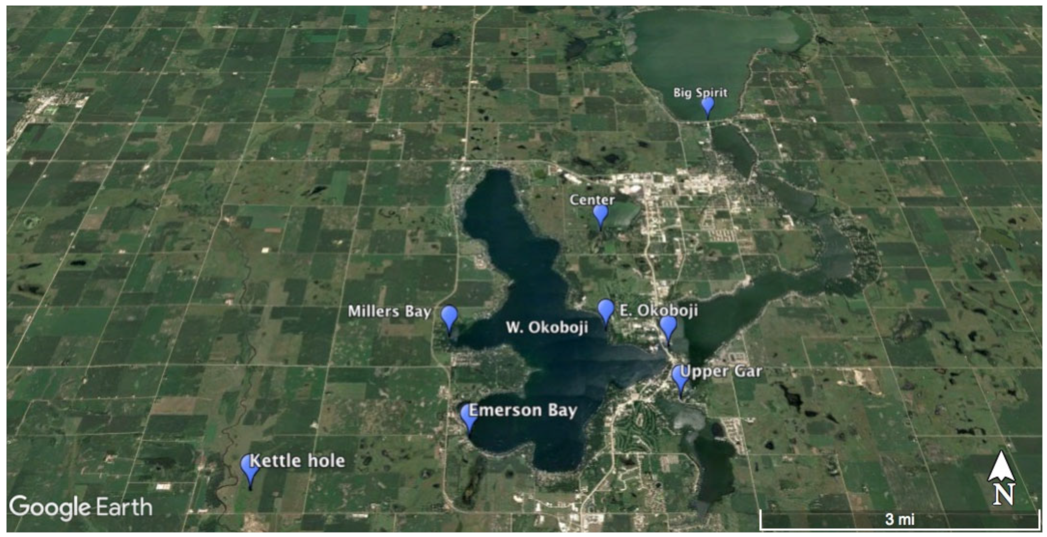 Diversity 16 00021 g001