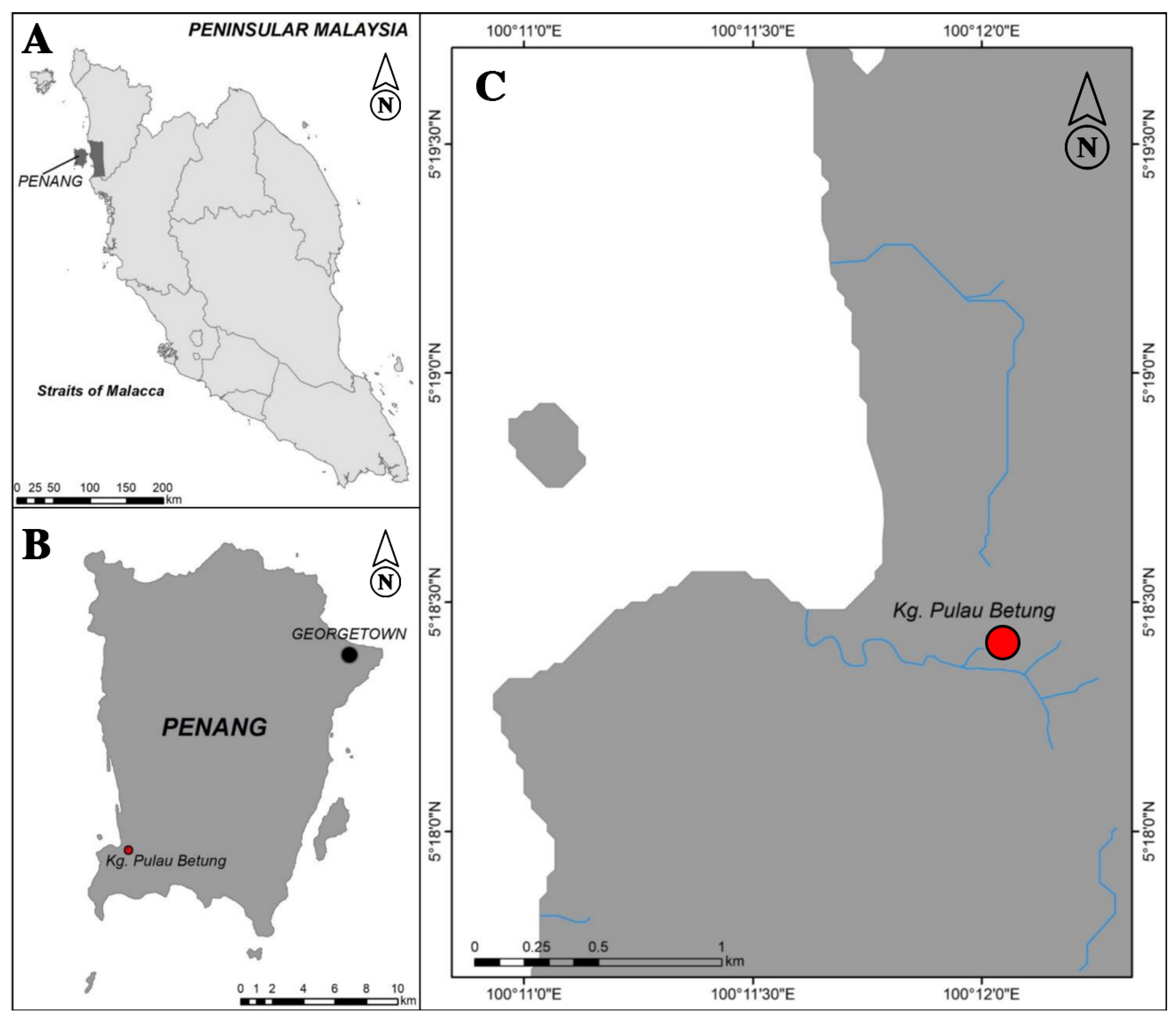 Diversity 16 00022 g001