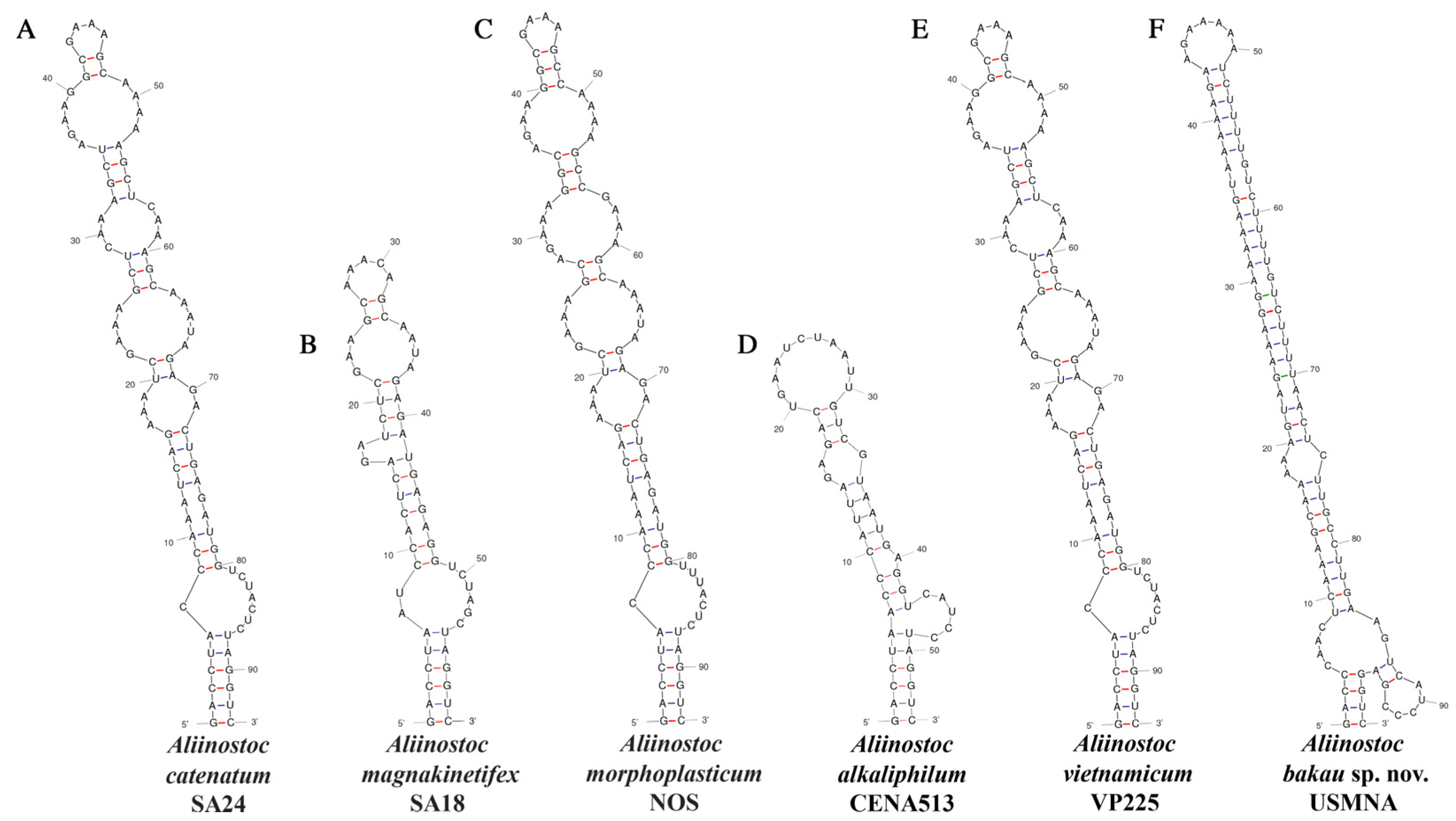 Diversity 16 00022 g004