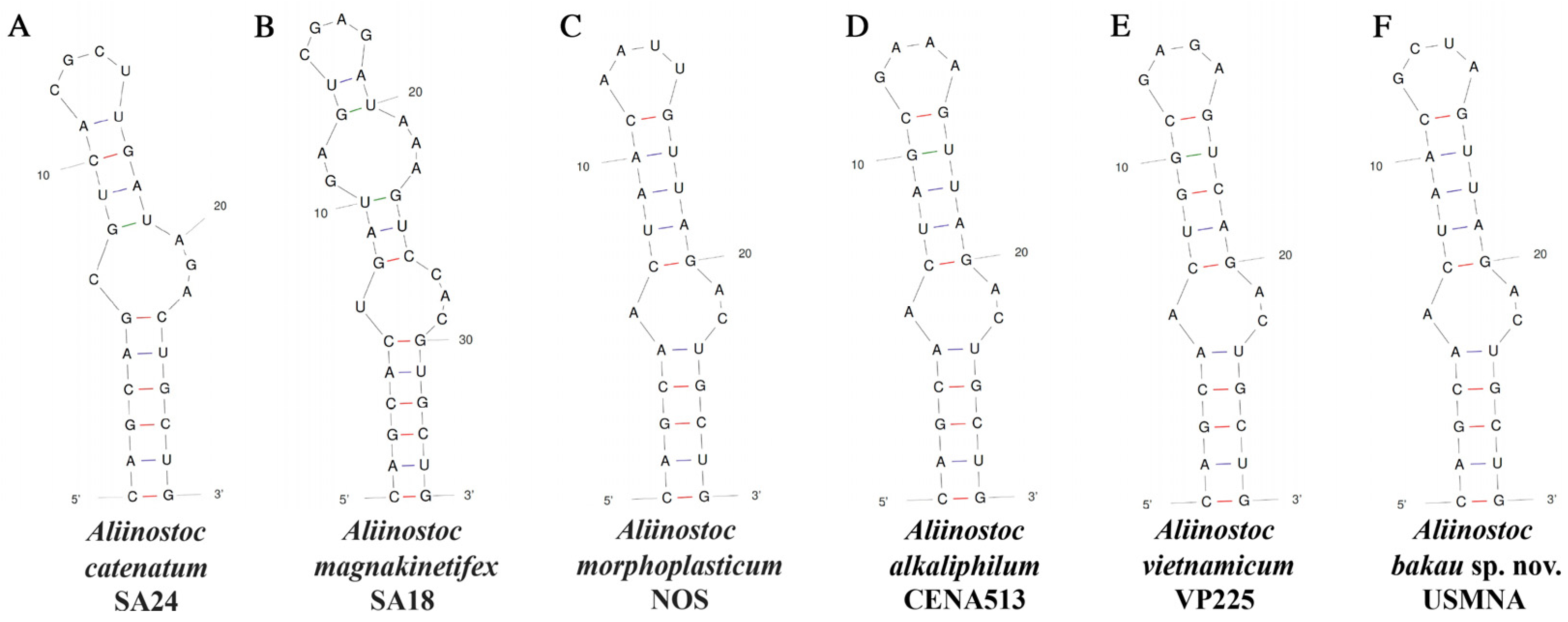 Diversity 16 00022 g005