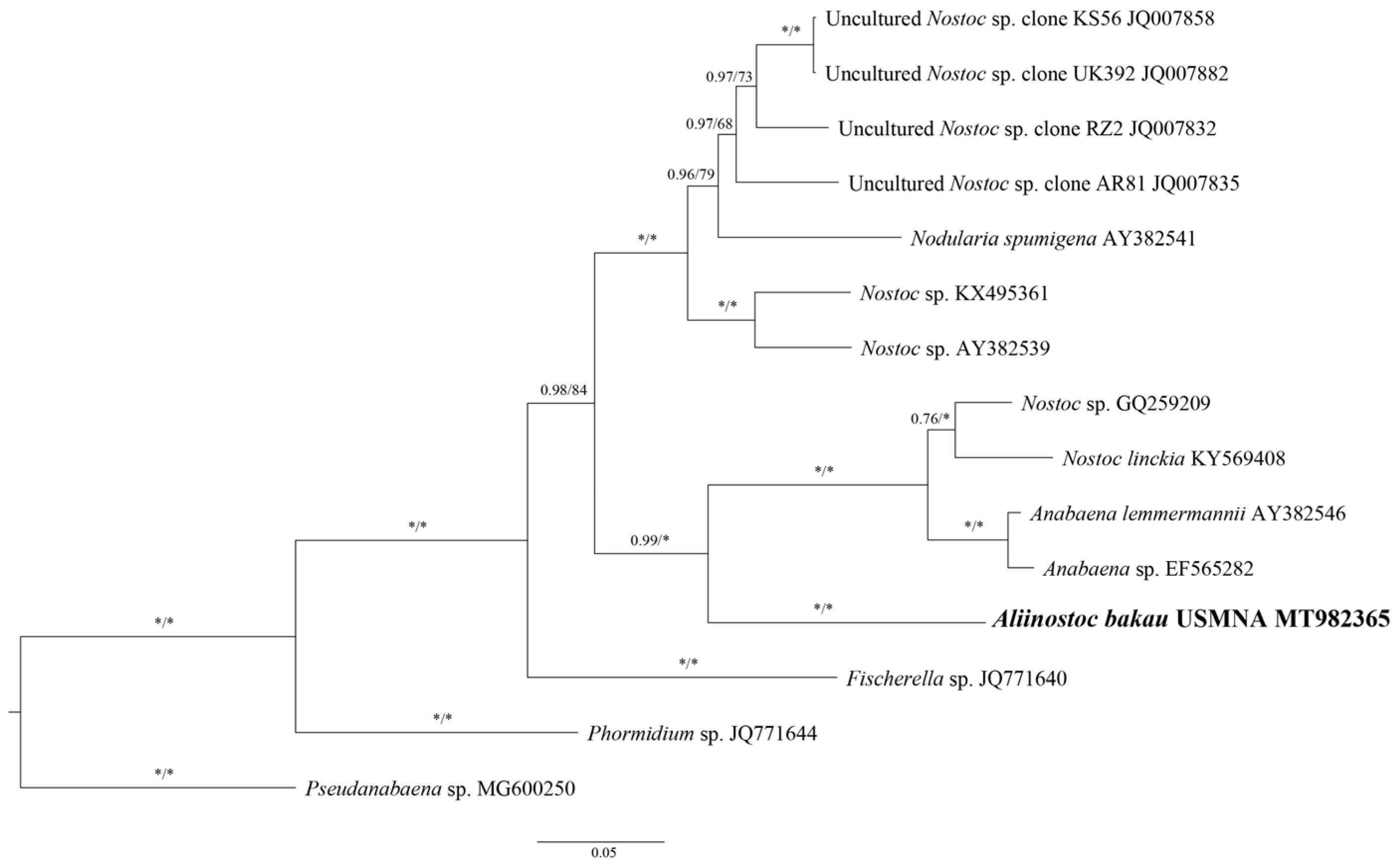 Diversity 16 00022 g006