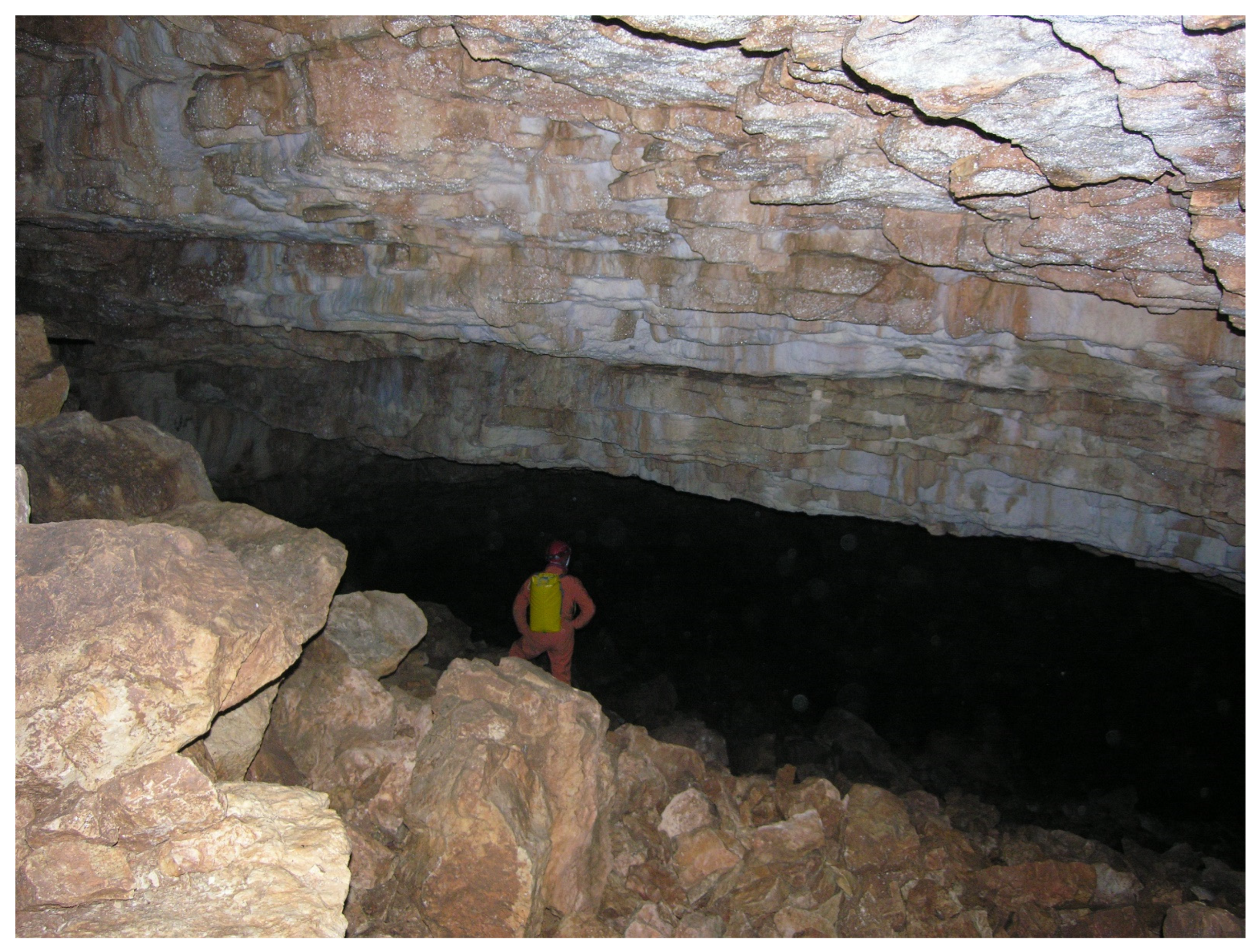 Diversity 16 00025 g003