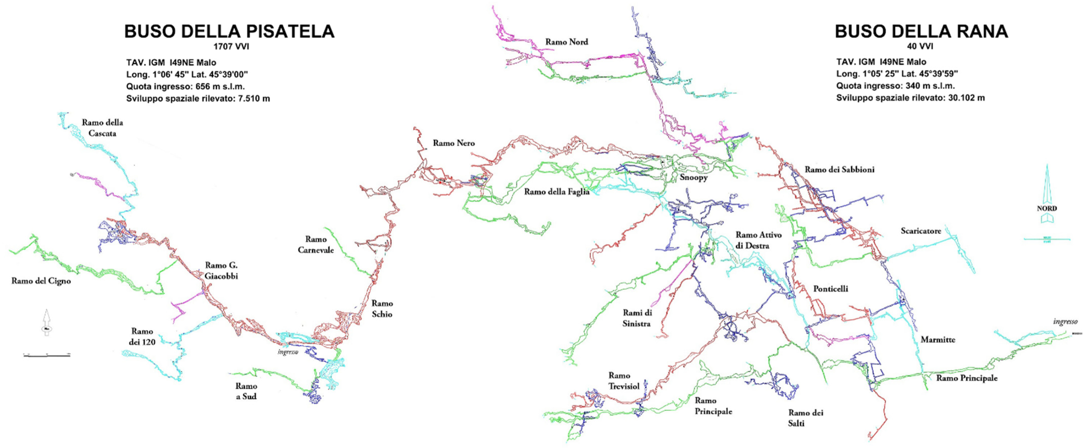Diversity 16 00025 g004