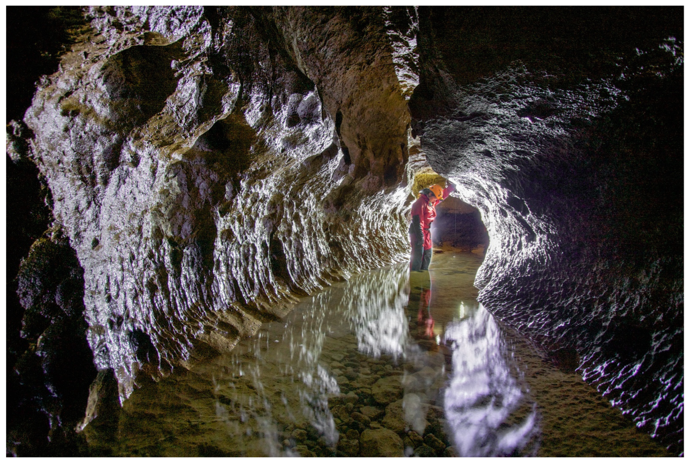 Diversity 16 00025 g005