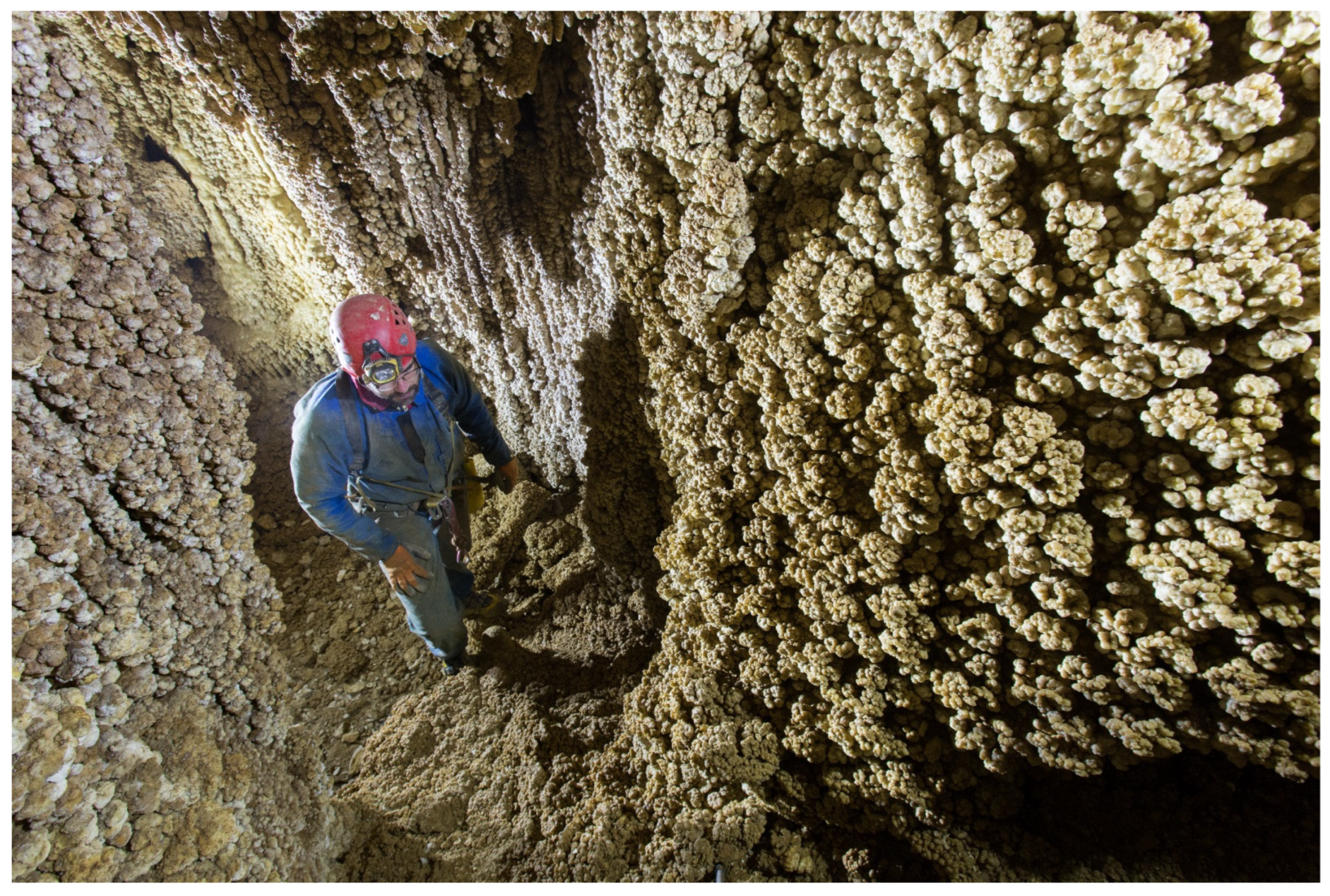 Diversity 16 00025 g006