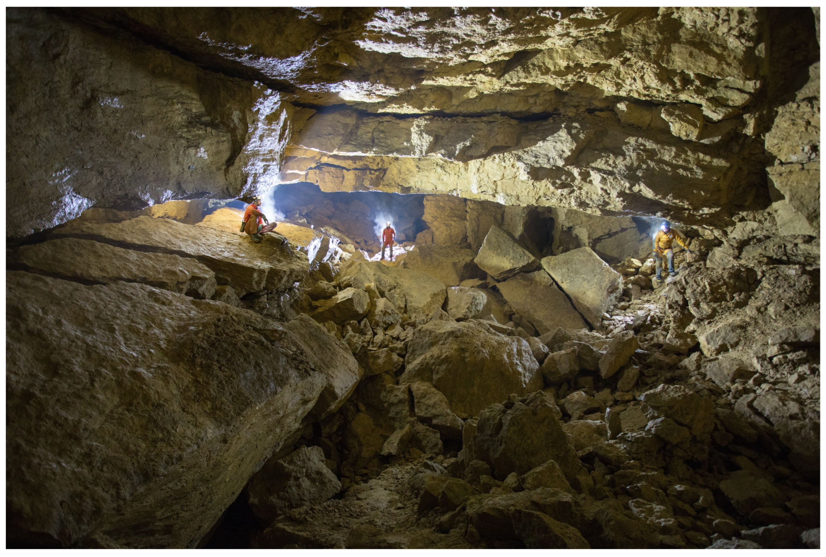 Diversity 16 00025 g008