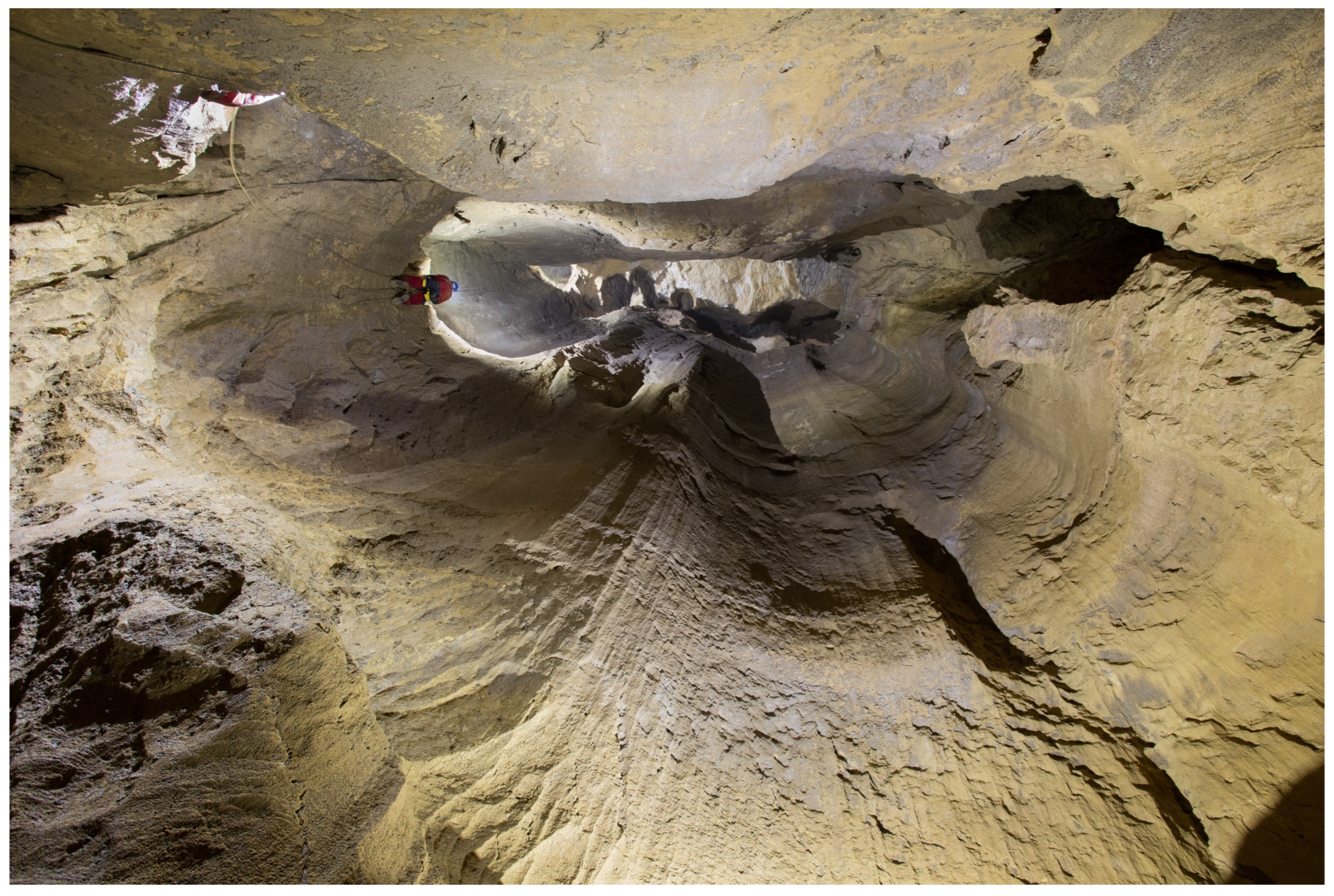 Diversity 16 00025 g009