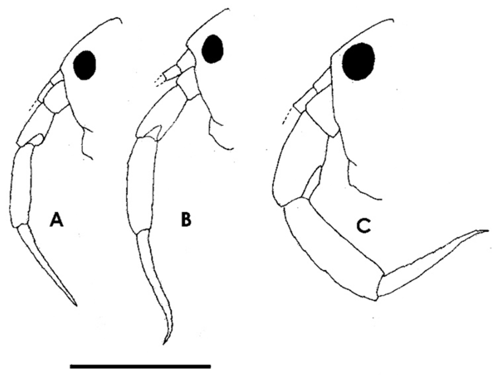 Diversity 16 00031 g001