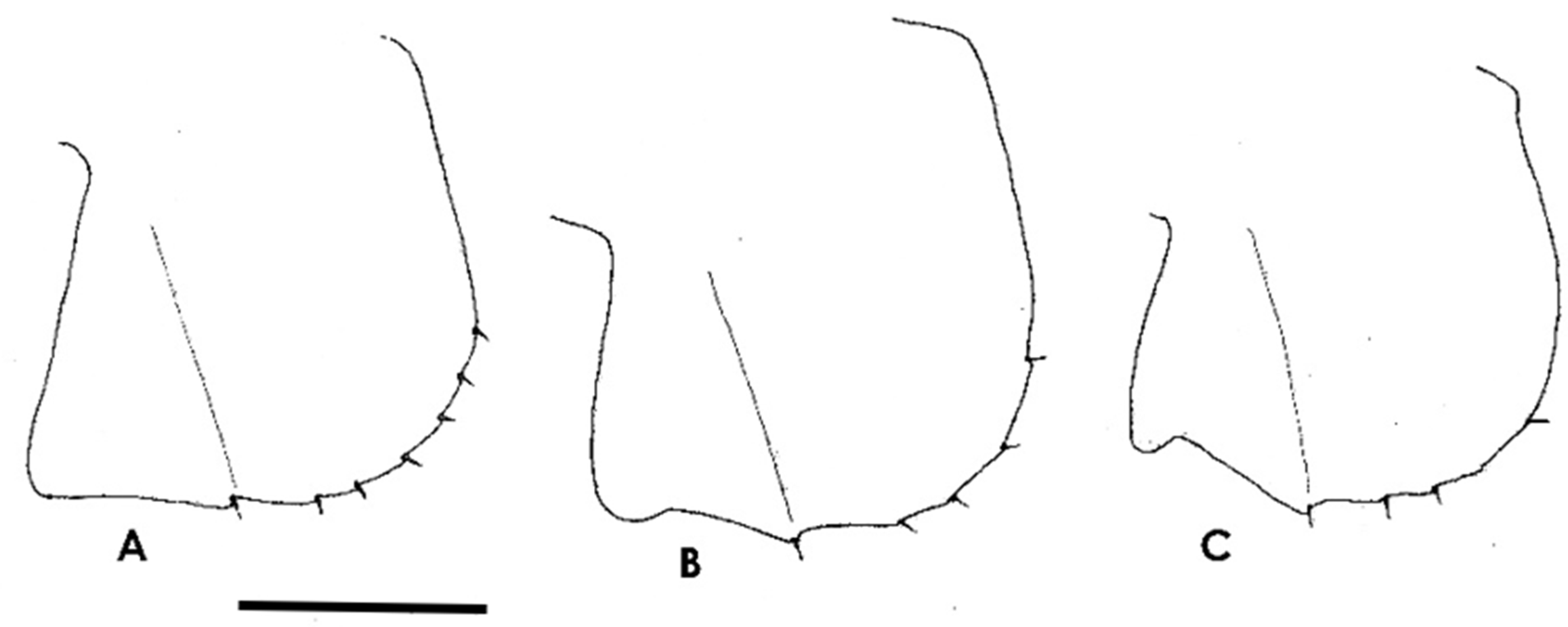 Diversity 16 00031 g005