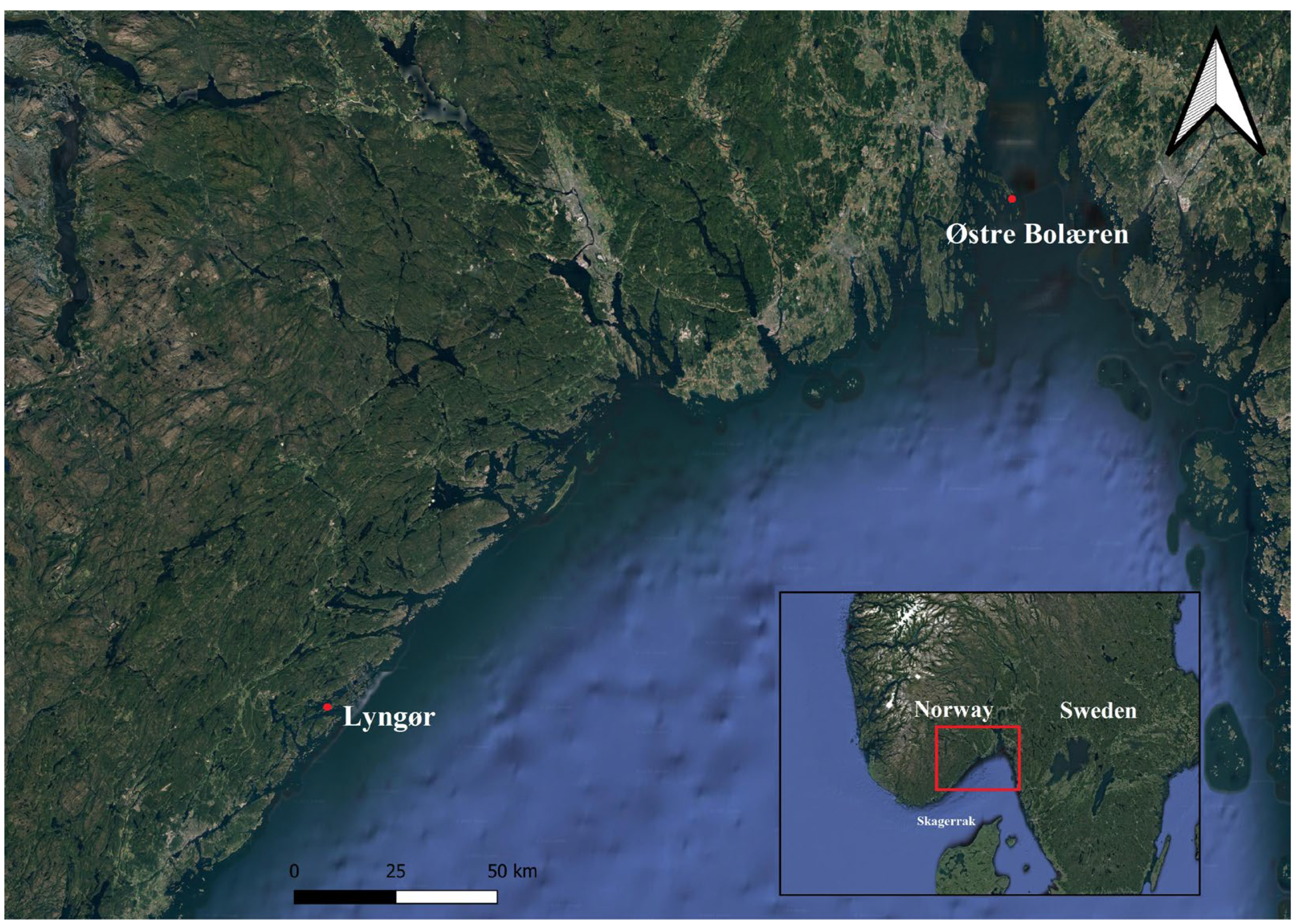 Diversity 16 00038 g001