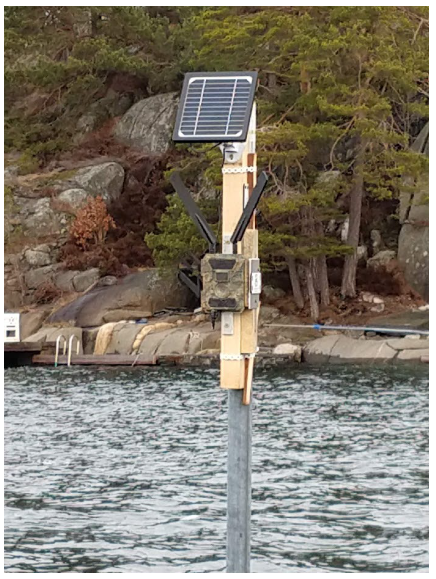 Diversity 16 00038 g002