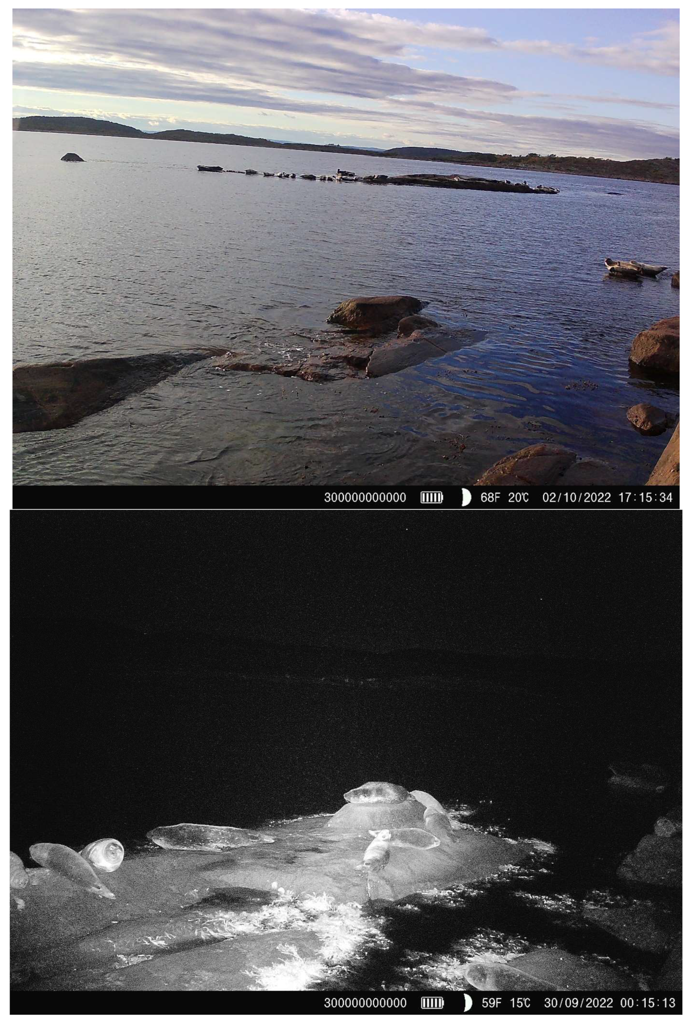 Diversity 16 00038 g004