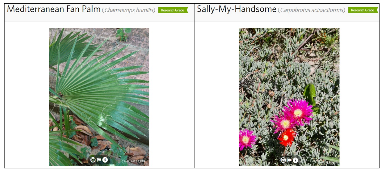 Diversity 16 00042 g004