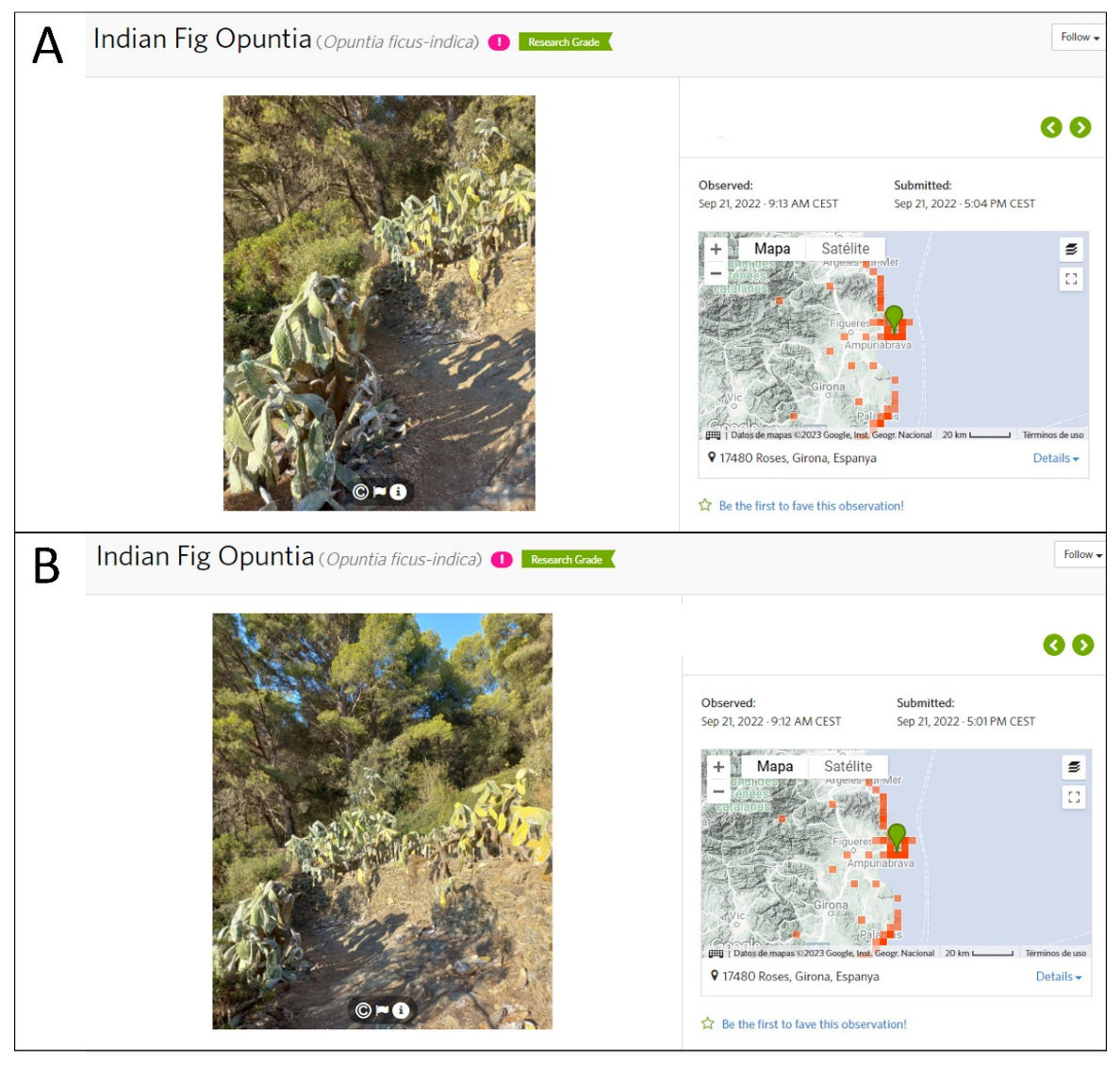 Diversity 16 00042 g007