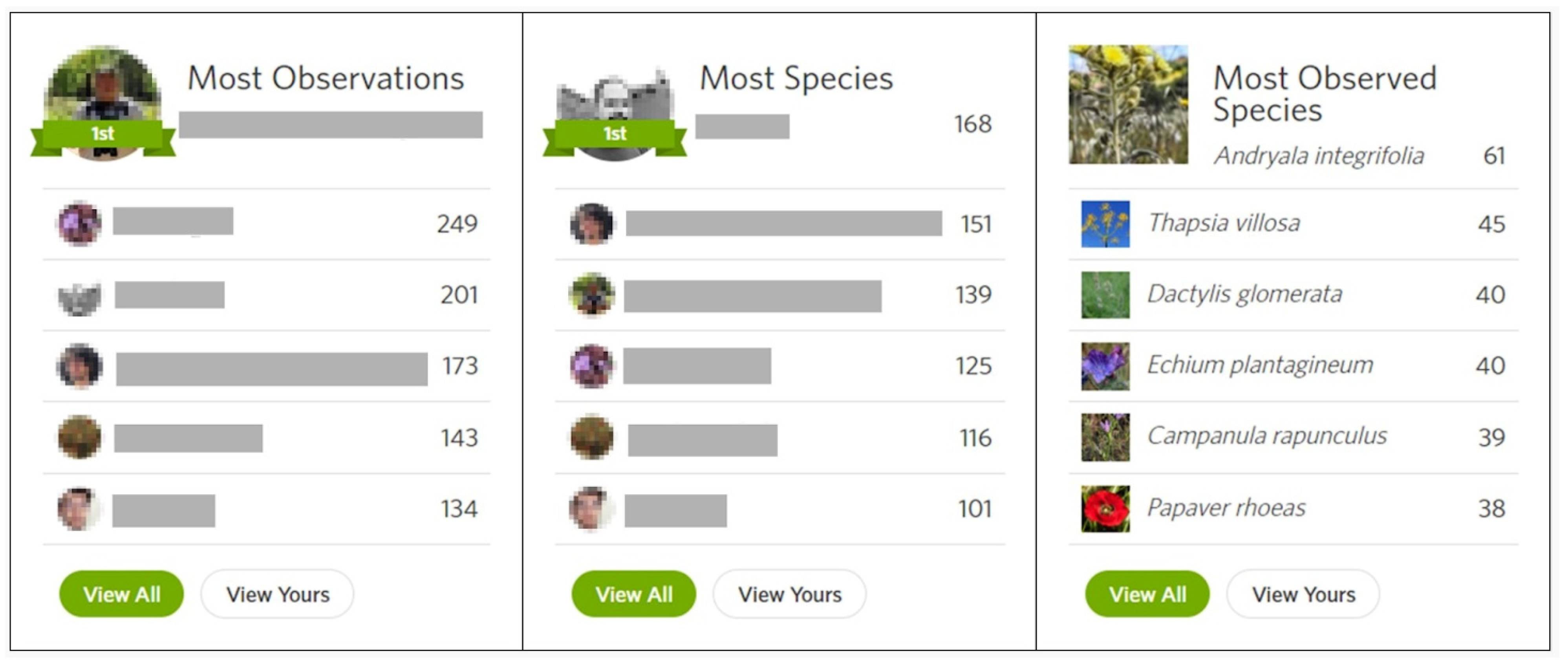 Diversity 16 00042 g008