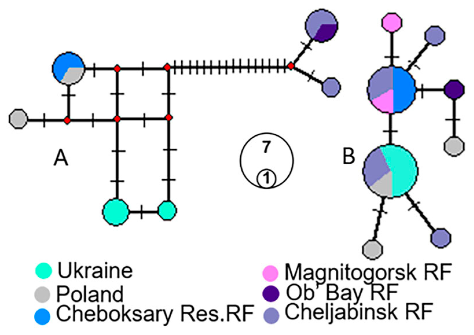 Diversity 16 00047 g002