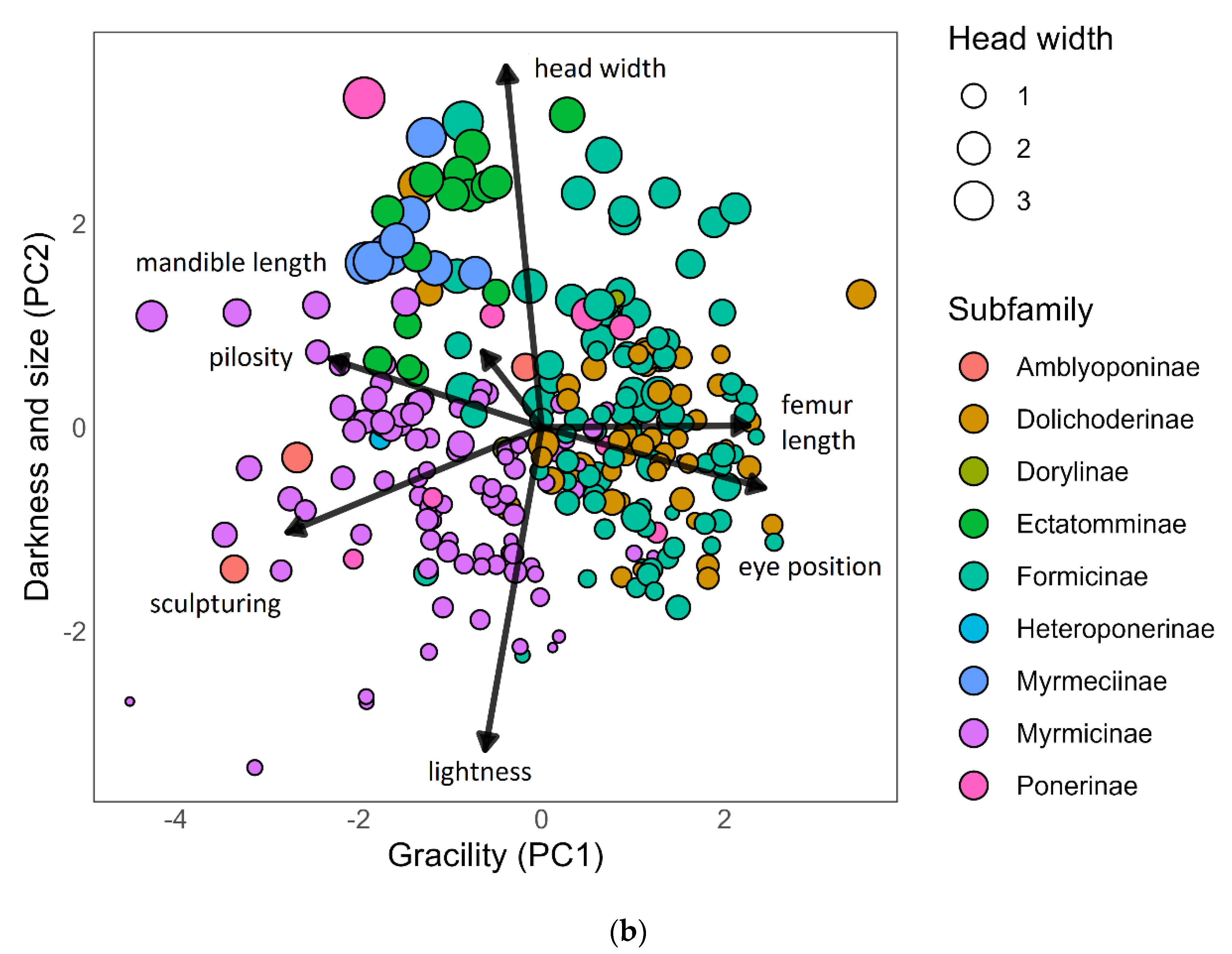 Diversity 16 00048 g002b