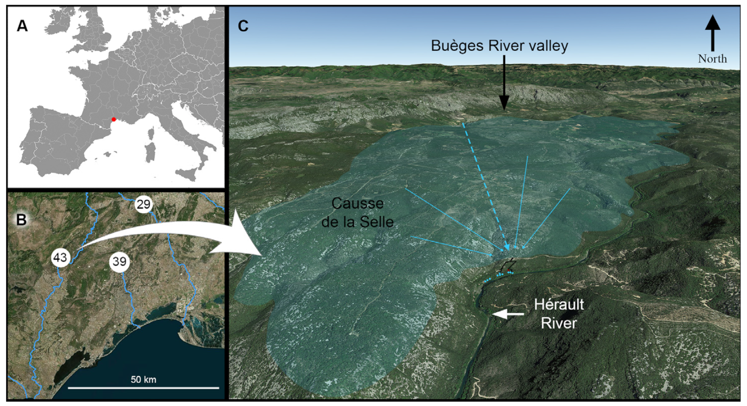 Diversity 16 00050 g001