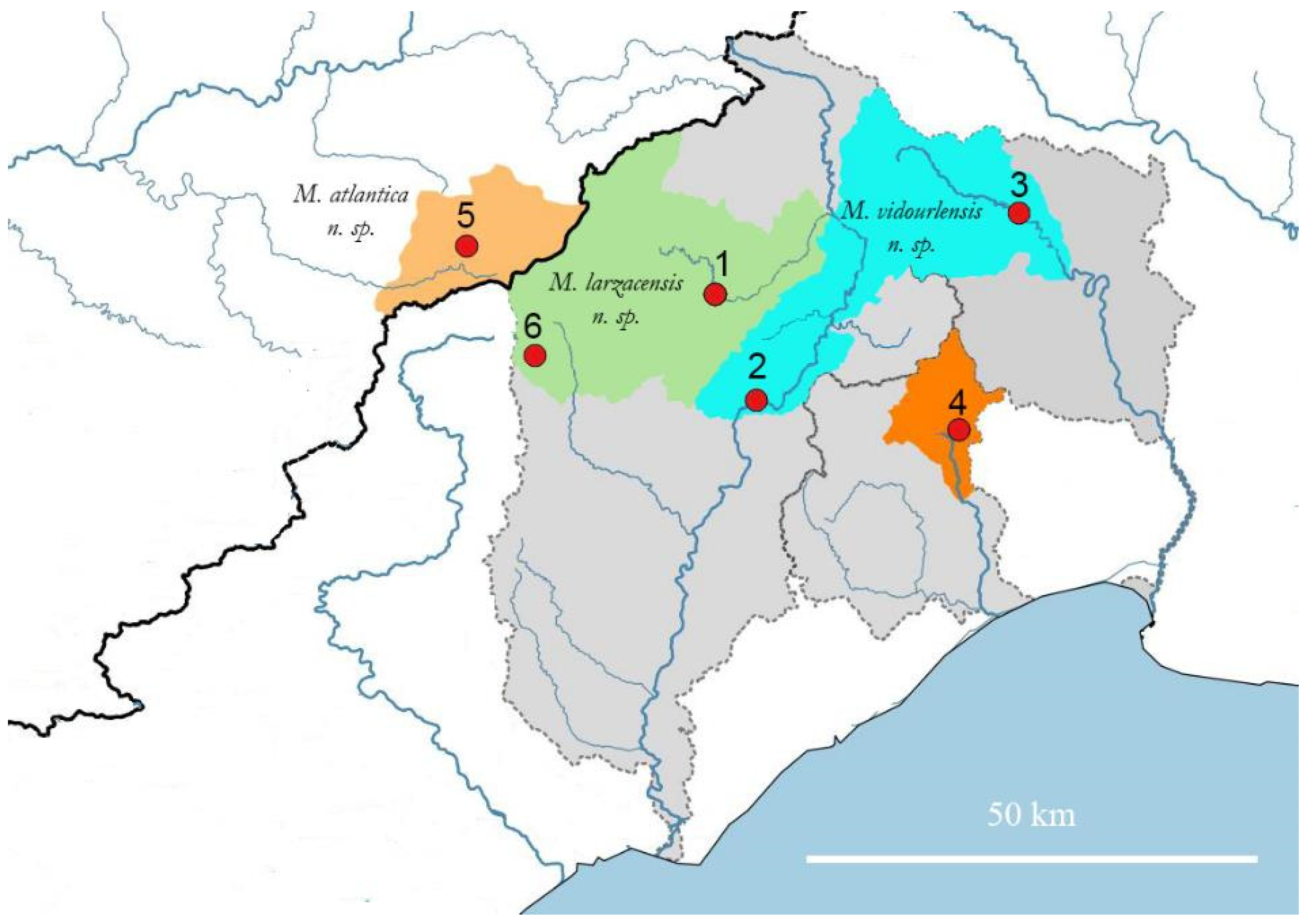 Diversity 16 00050 g0a2