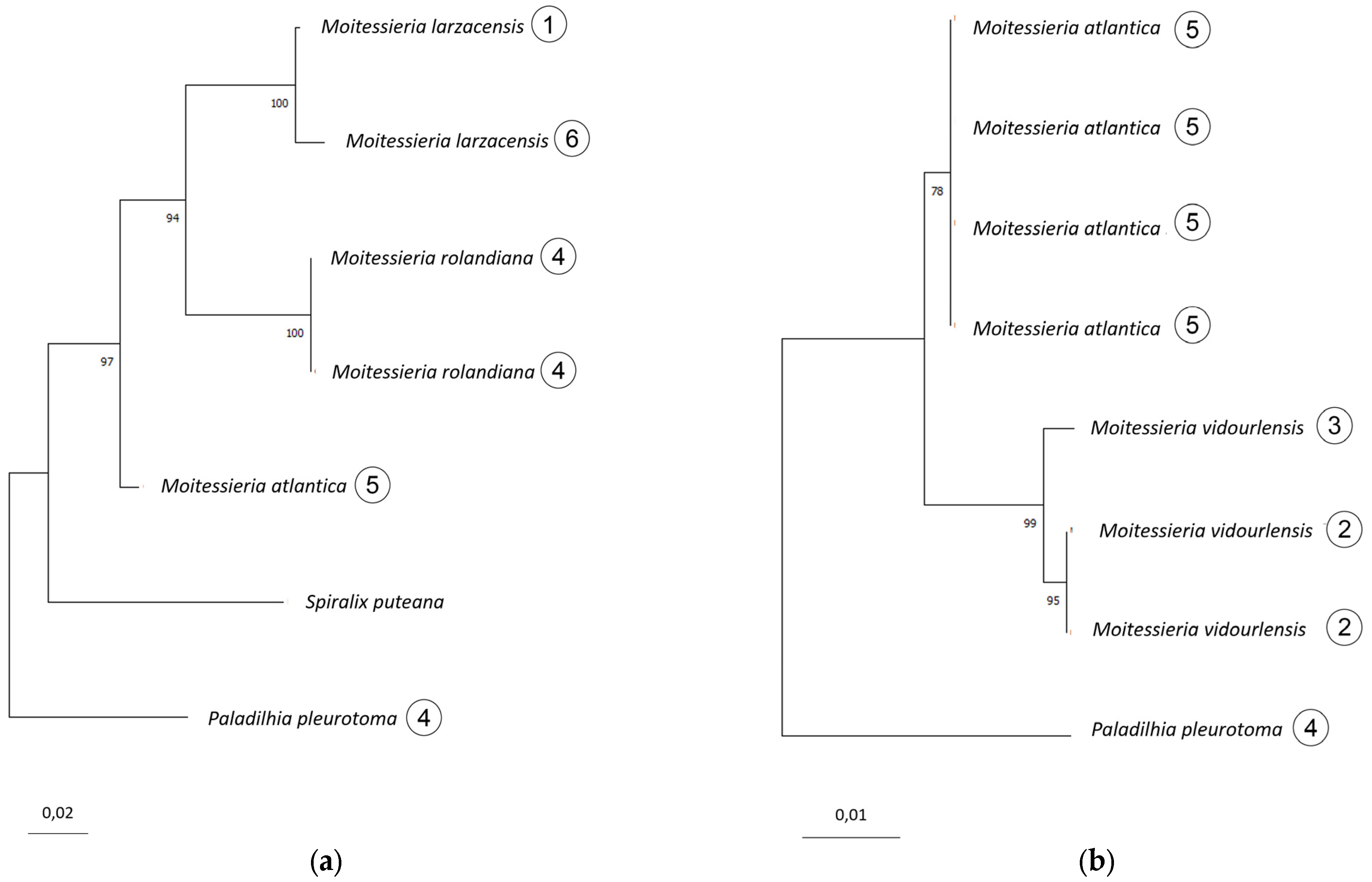 Diversity 16 00050 g0a4