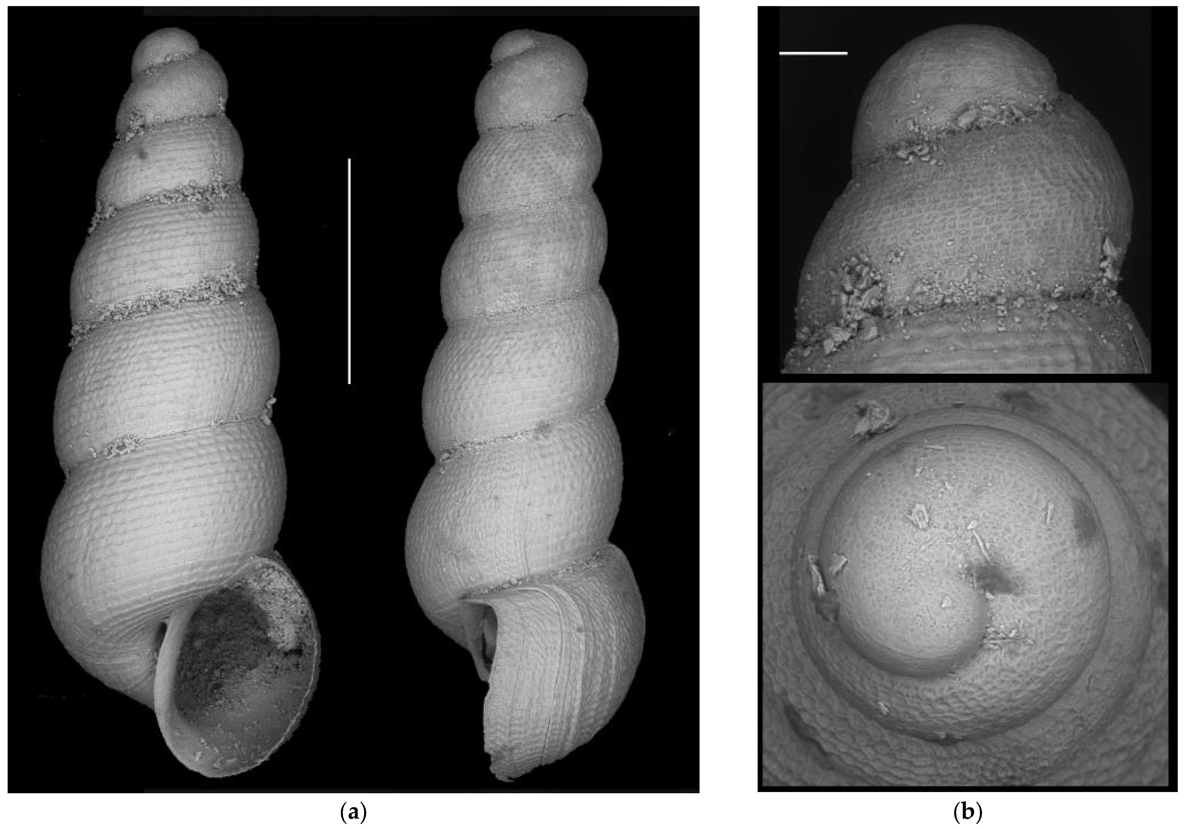 Diversity 16 00050 g0a5