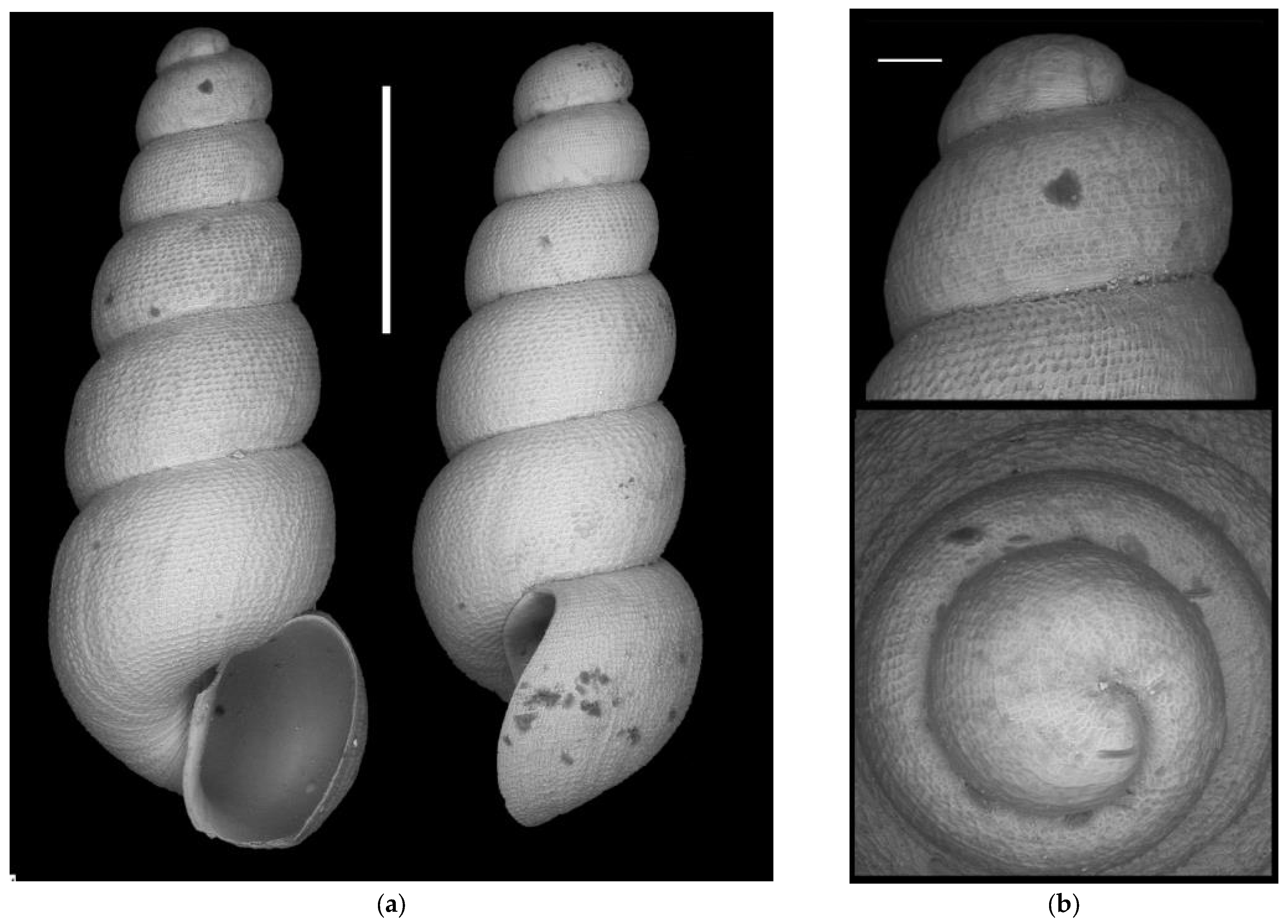 Diversity 16 00050 g0a7
