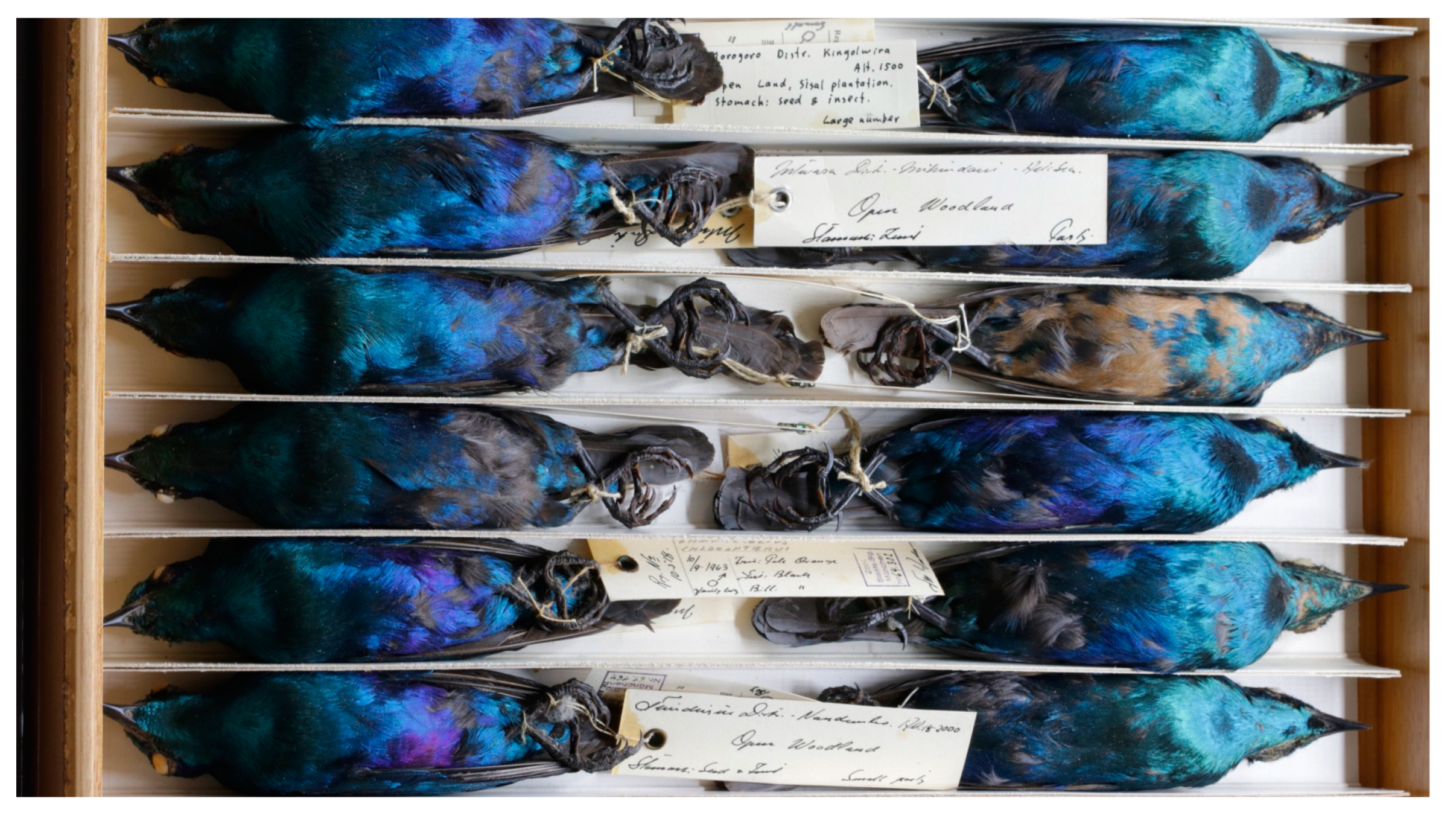 Diversity 16 00051 g001