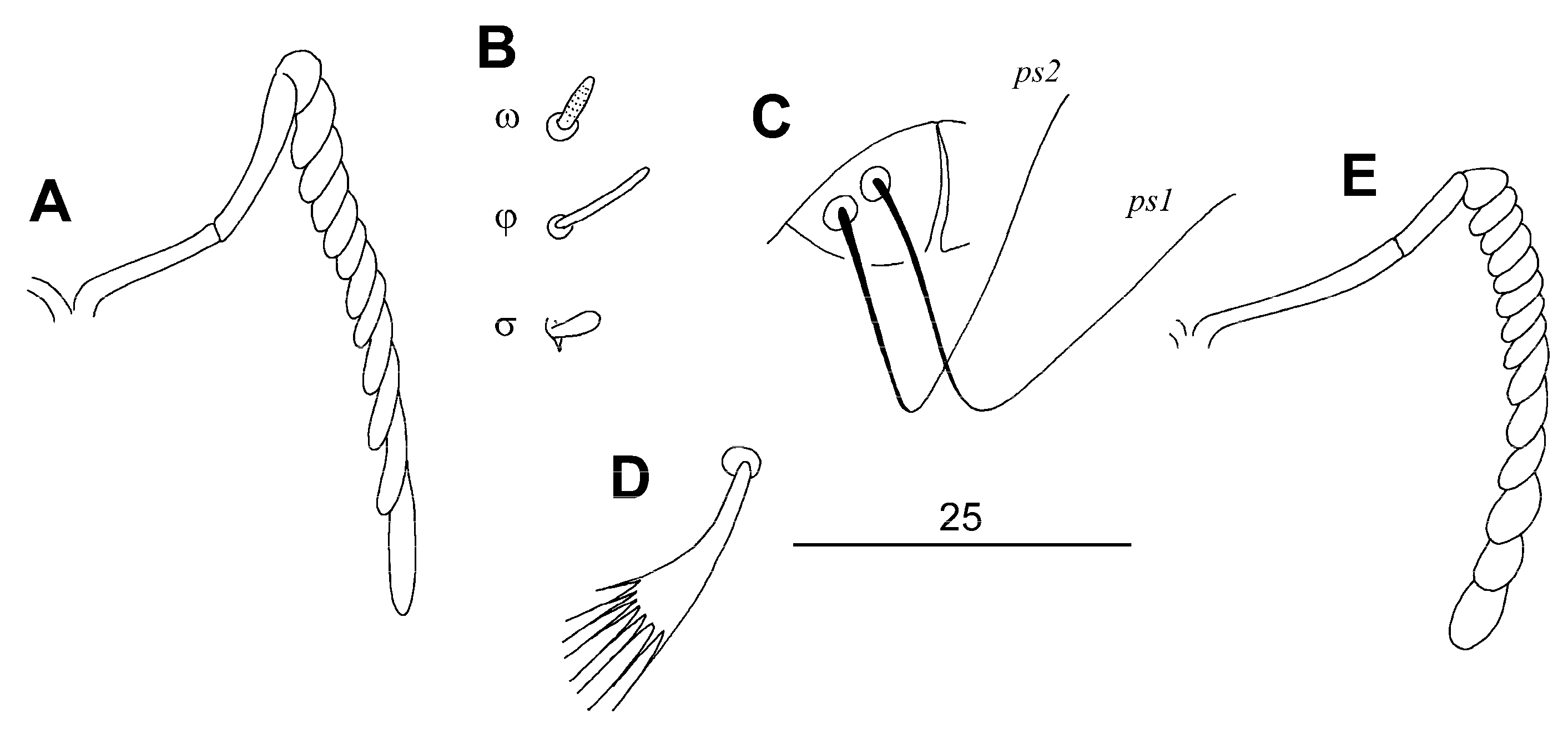 Diversity 16 00051 g004