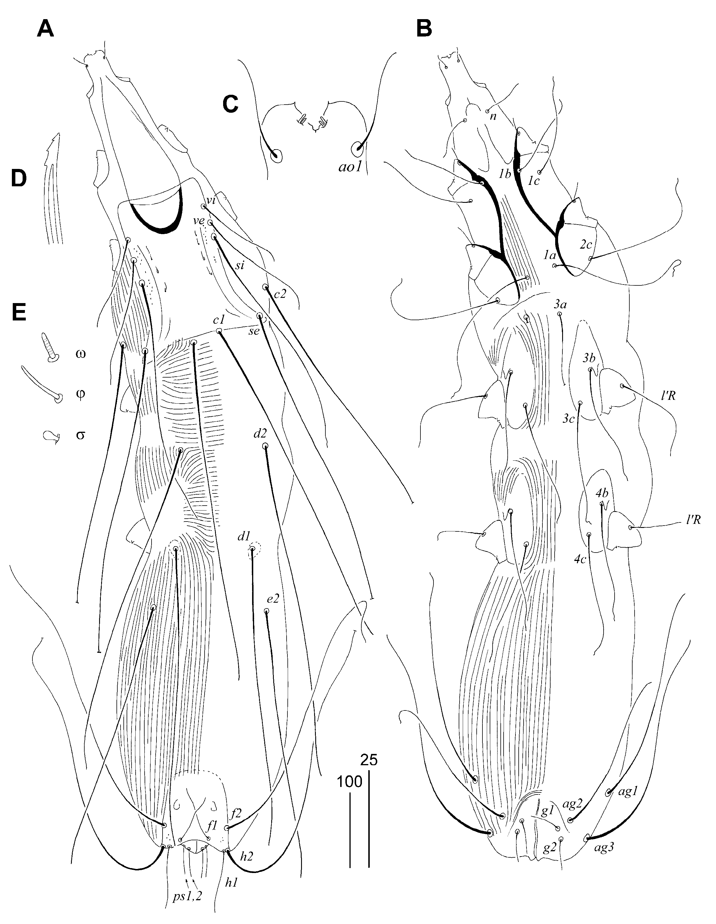 Diversity 16 00051 g006