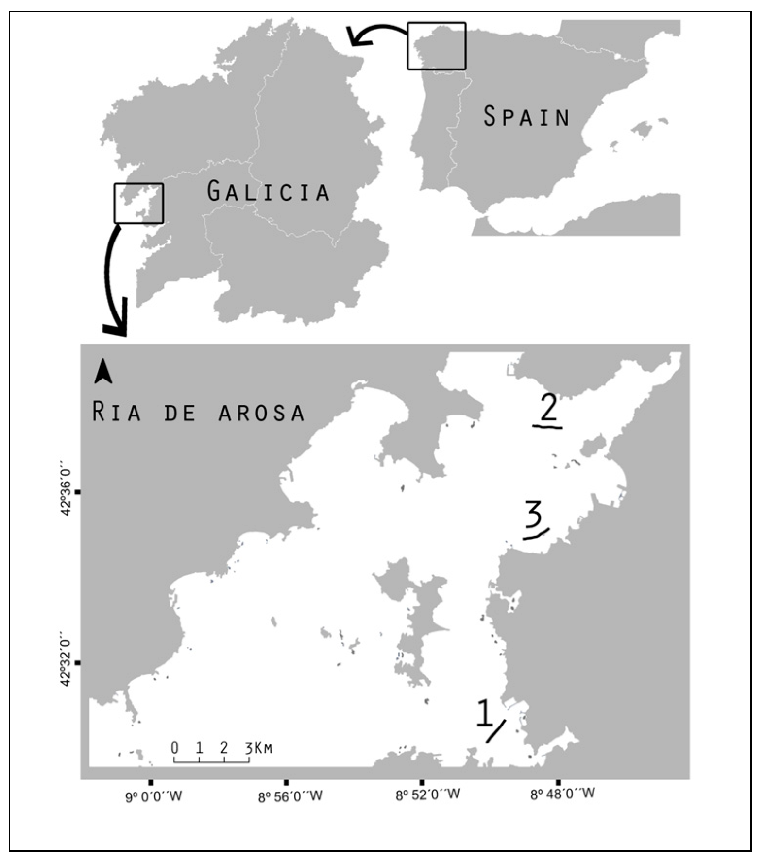 Diversity 16 00061 g001 Diversity 16 00061 g001