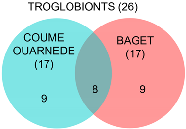 Diversity 16 00062 i001 Diversity 16 00062 i001