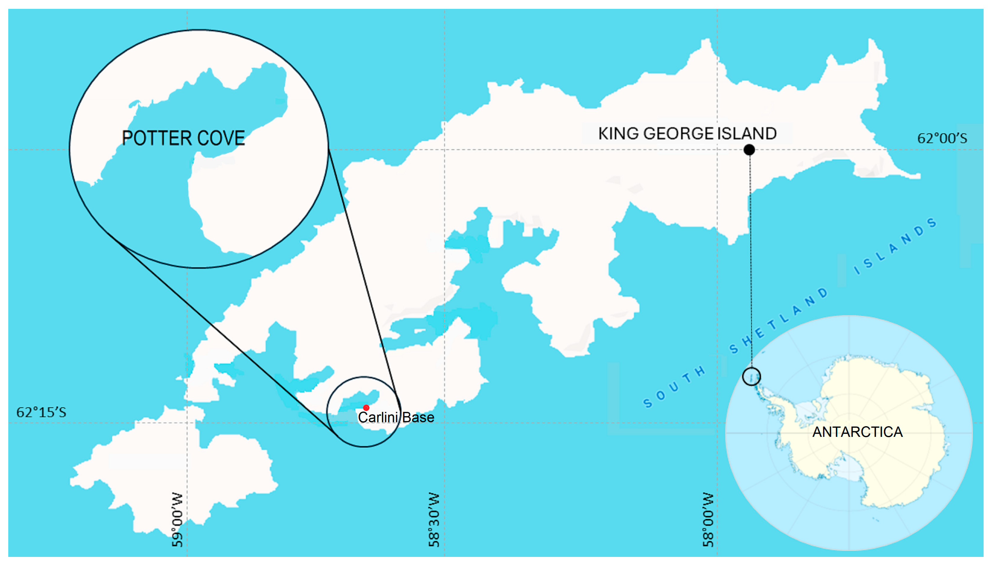 Diversity 16 00063 g001 Diversity 16 00063 g001