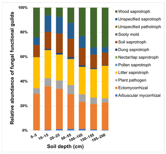 Soil Fungi and Soil Organic Carbon Stocks in the Profile of