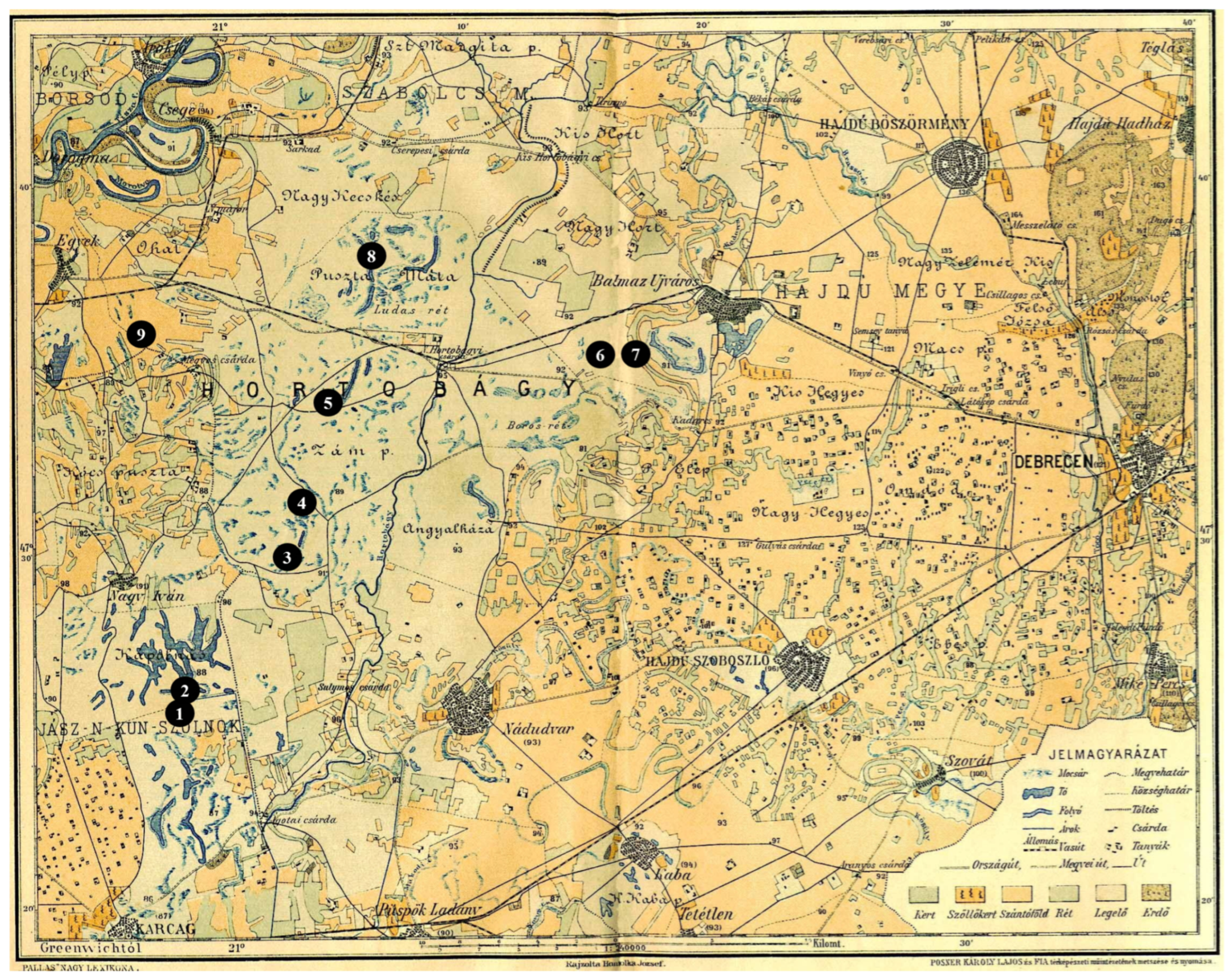 Diversity 16 00067 g004 Diversity 16 00067 g004