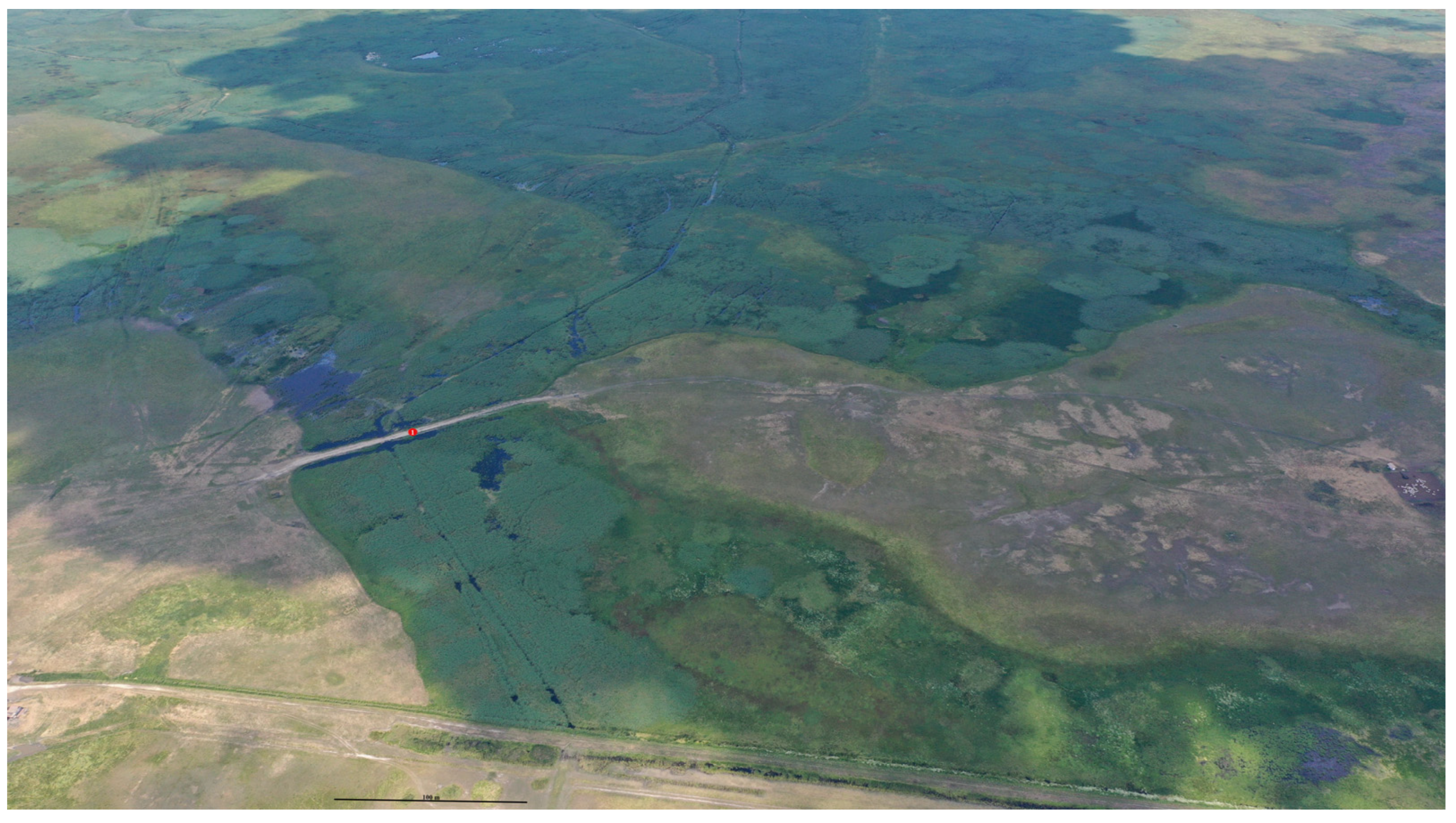 Diversity 16 00067 g006 Diversity 16 00067 g006