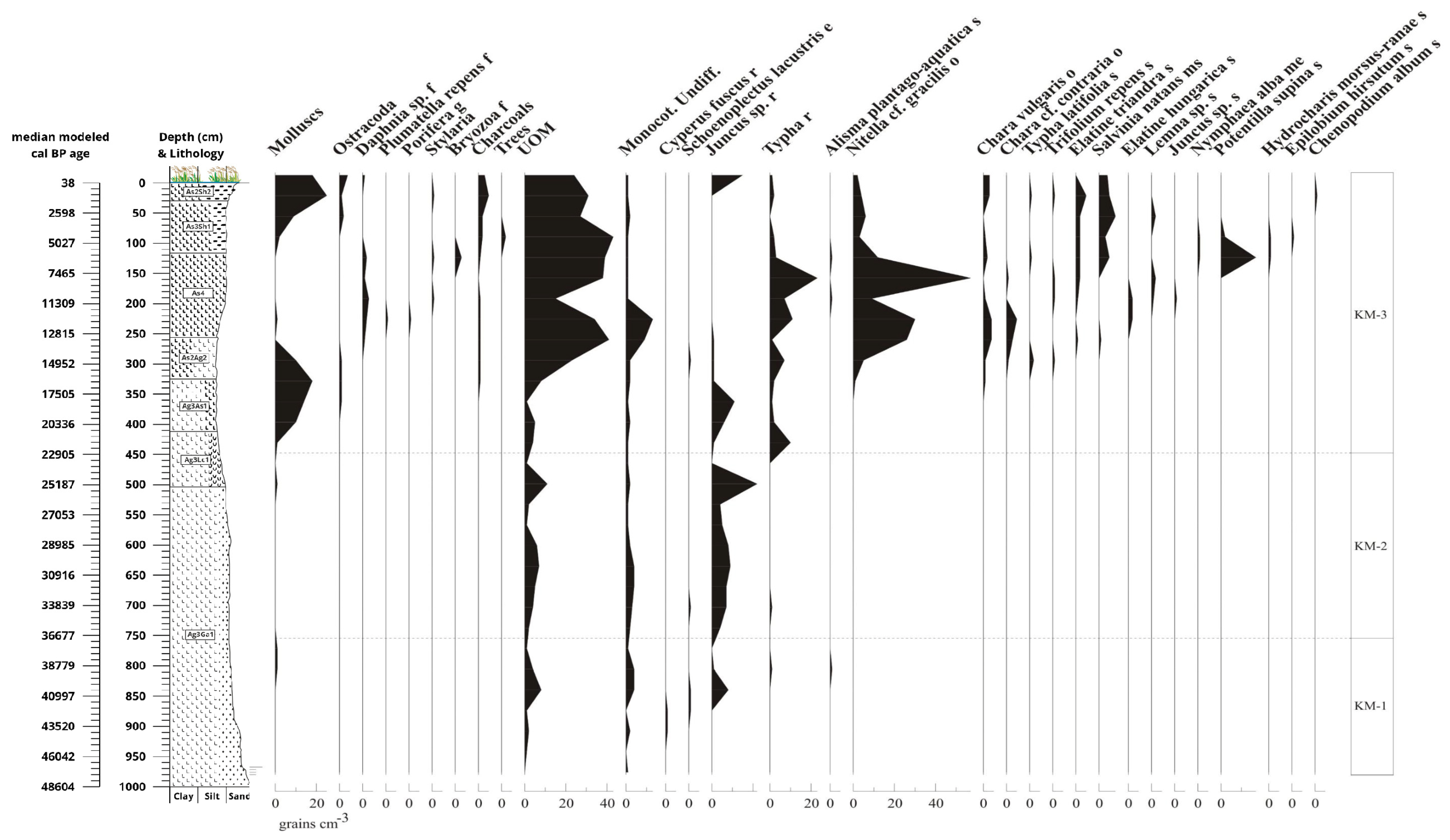 Diversity 16 00067 g013 Diversity 16 00067 g013