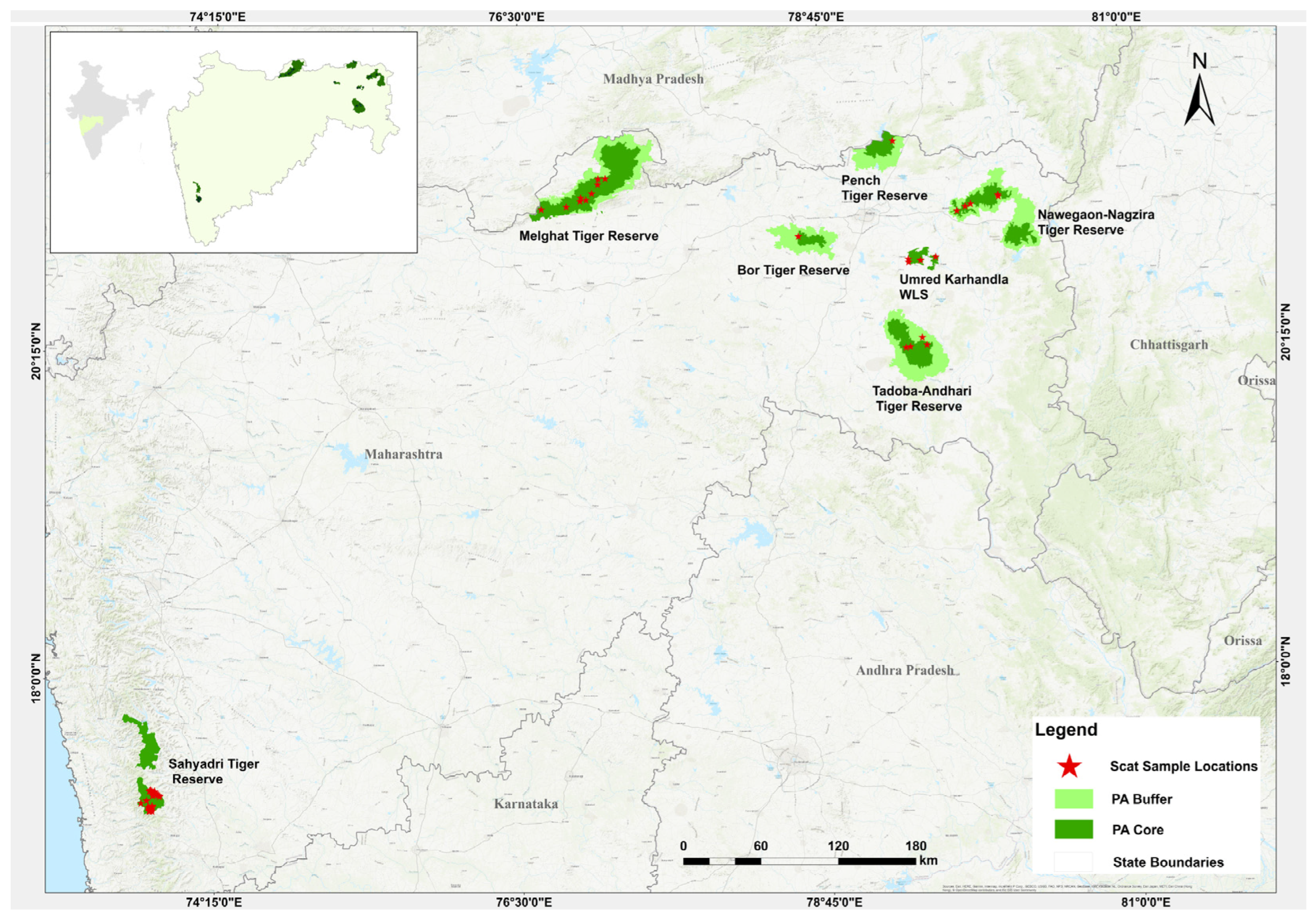 Diversity 16 00074 g001
