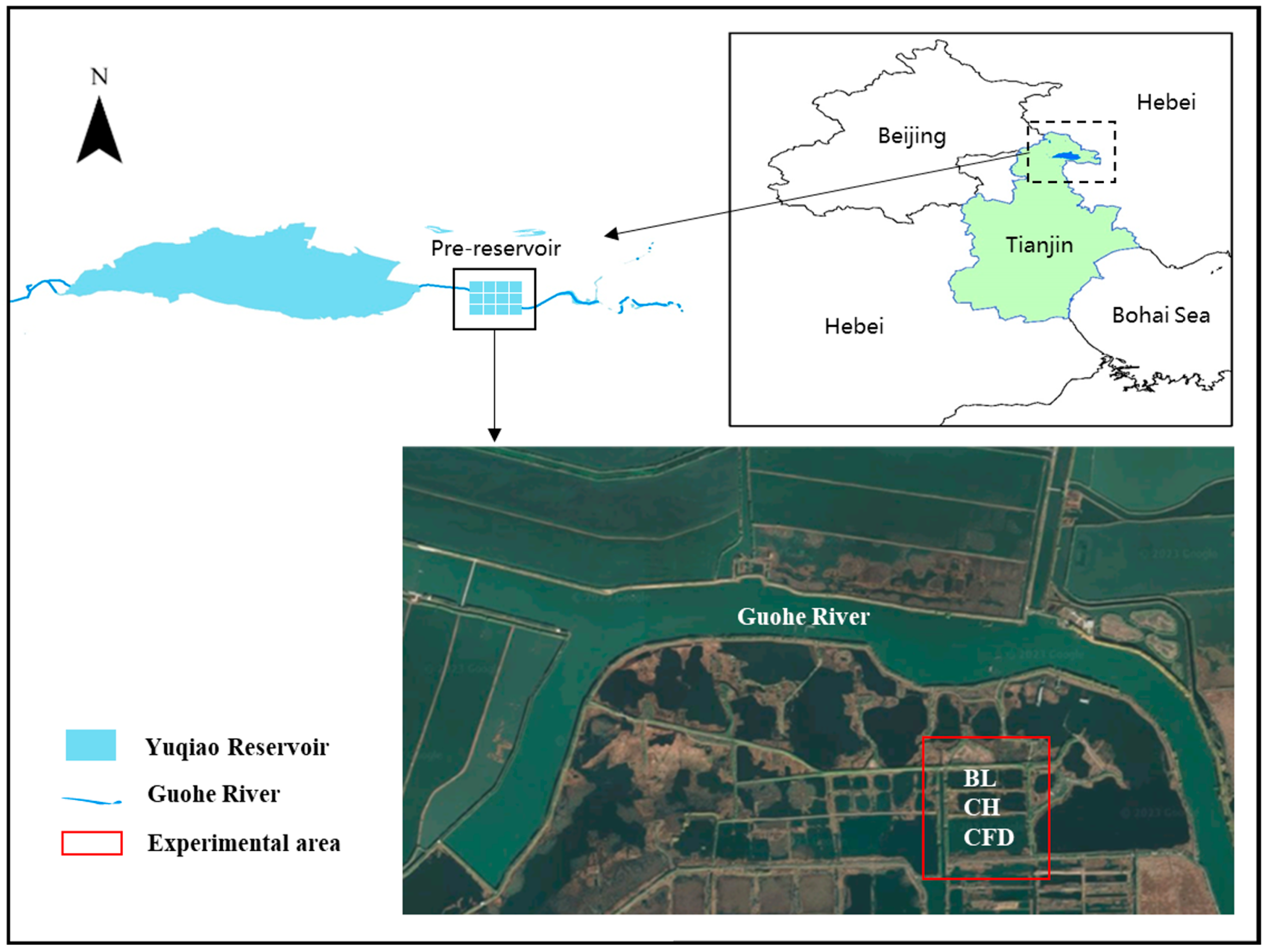 Diversity 16 00075 g001