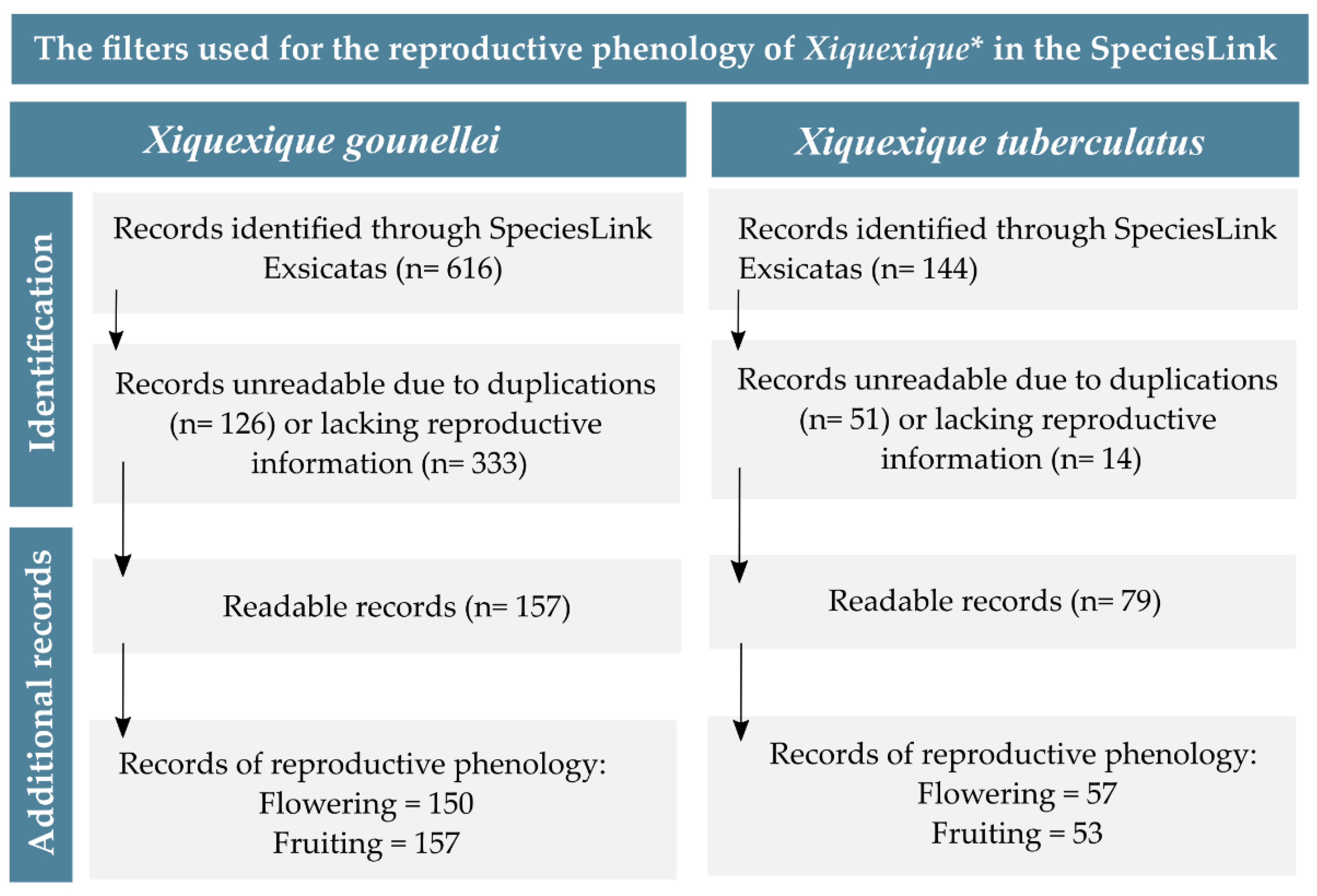 Diversity 16 00079 g004