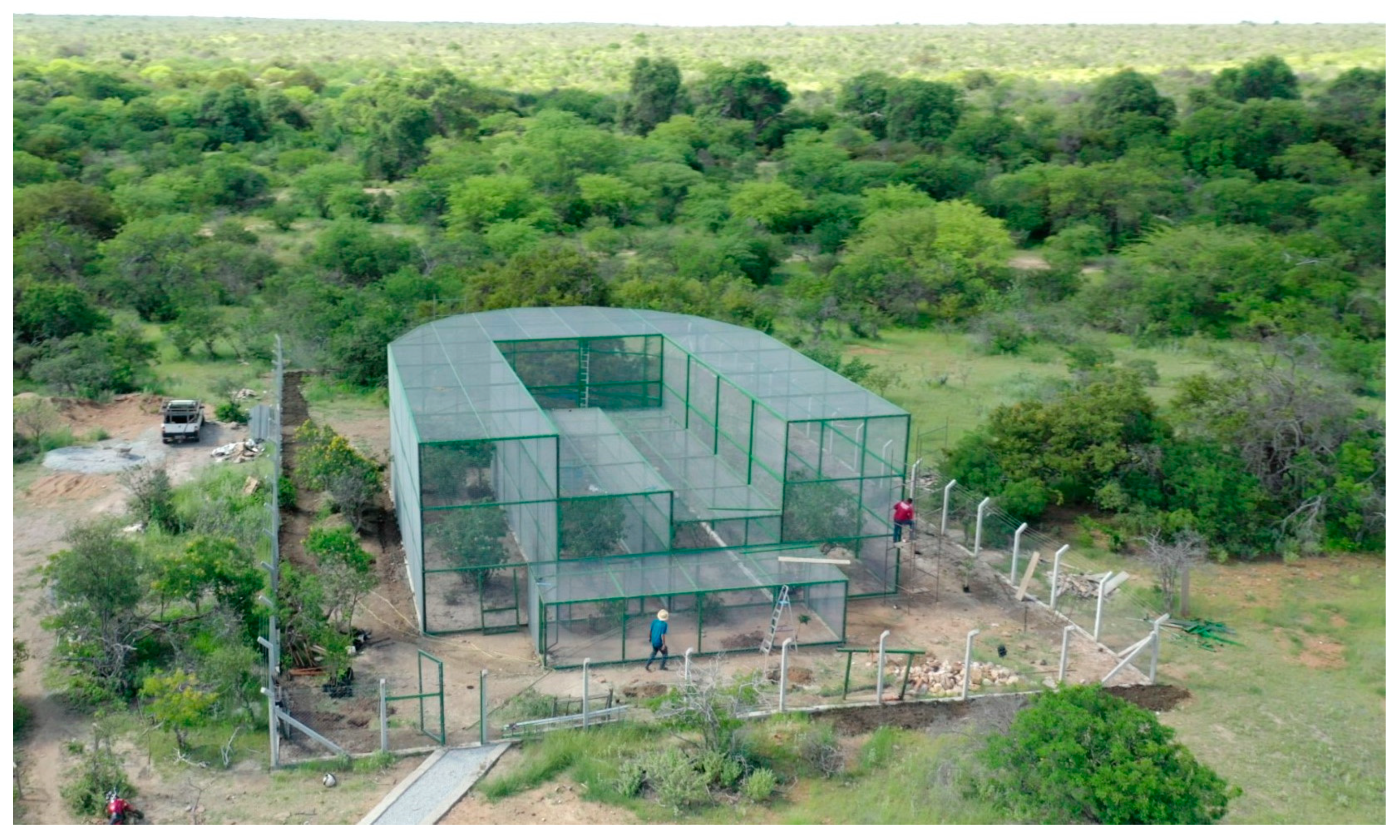 Diversity 16 00080 g002