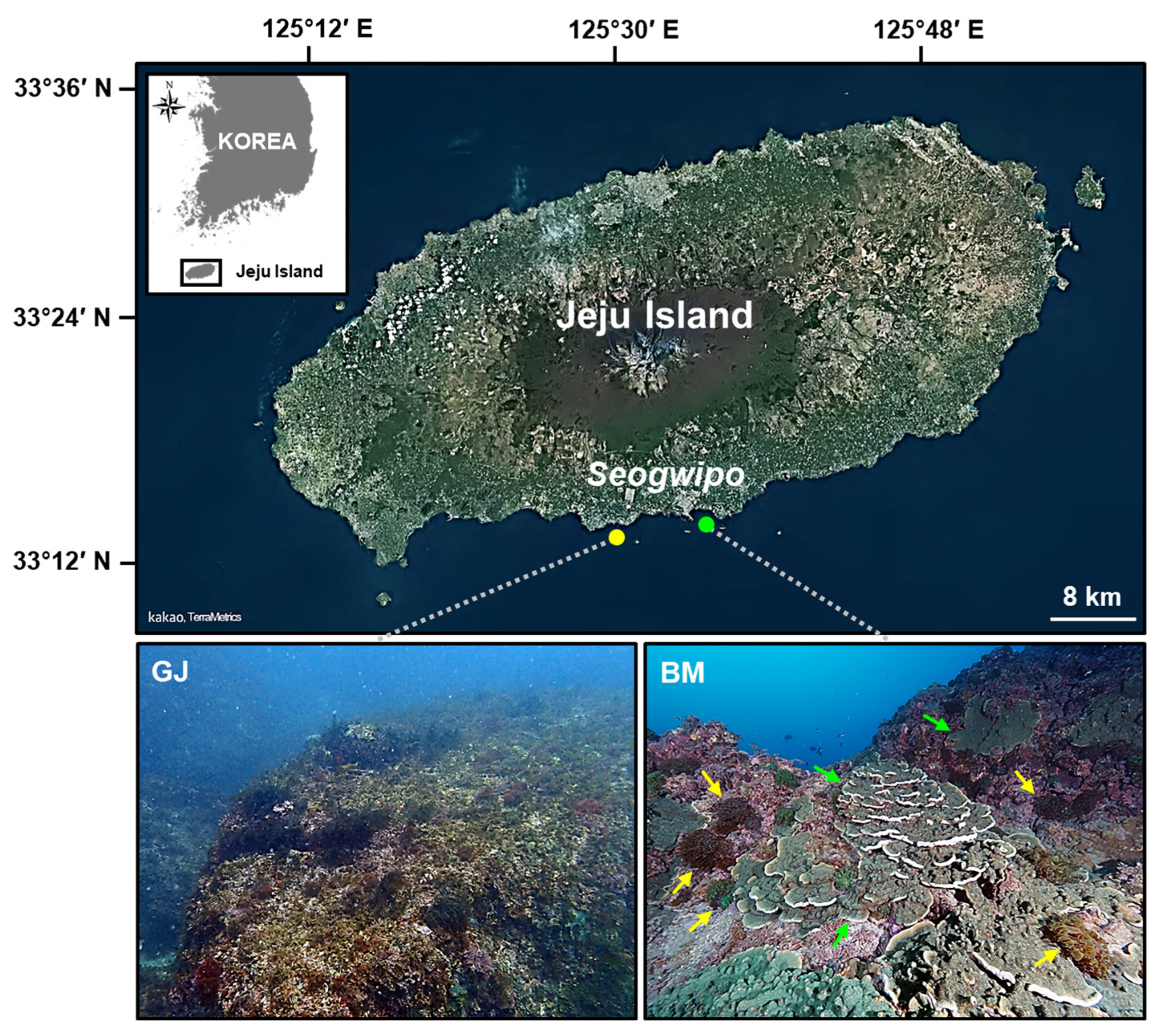 Diversity 16 00083 g001