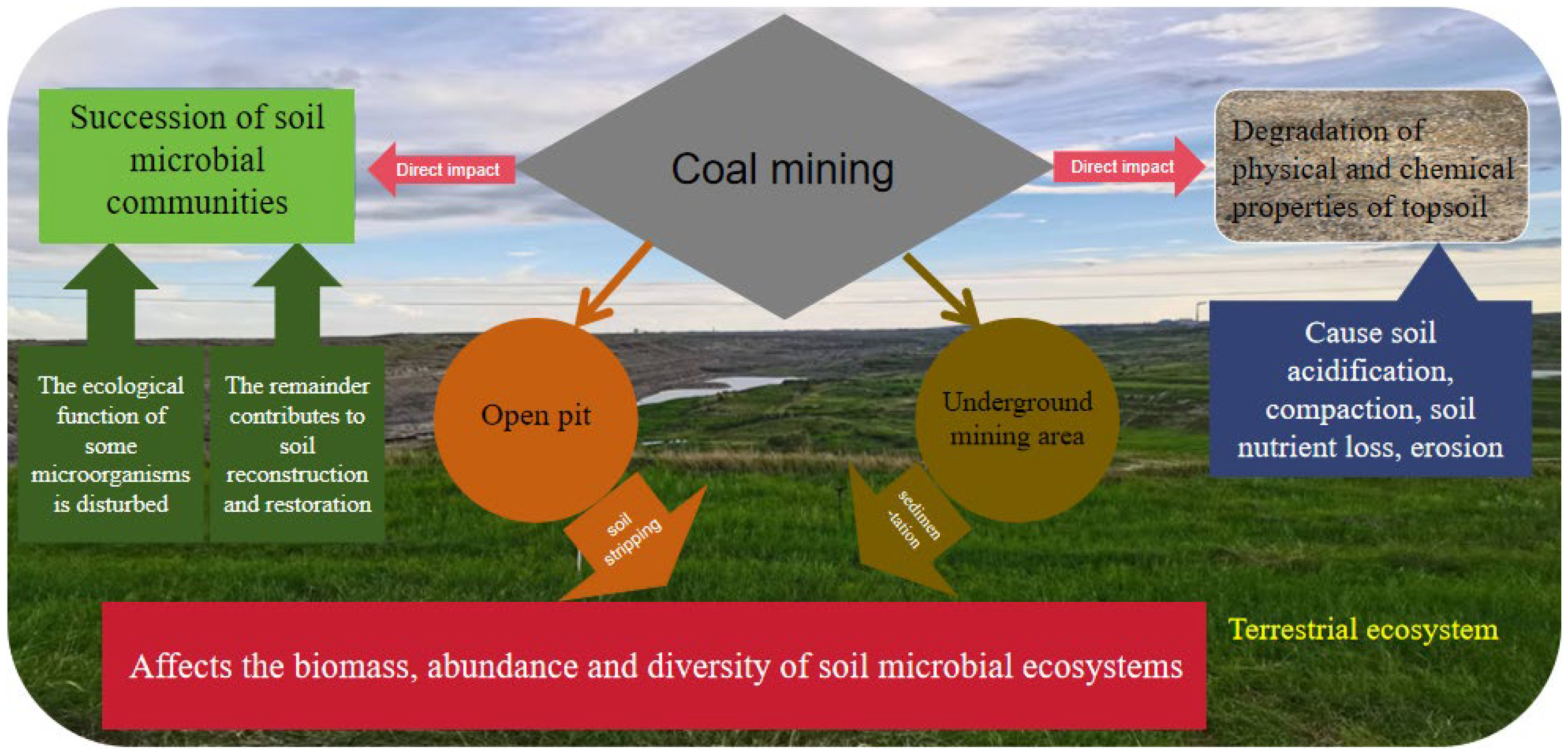 Diversity 16 00086 g001