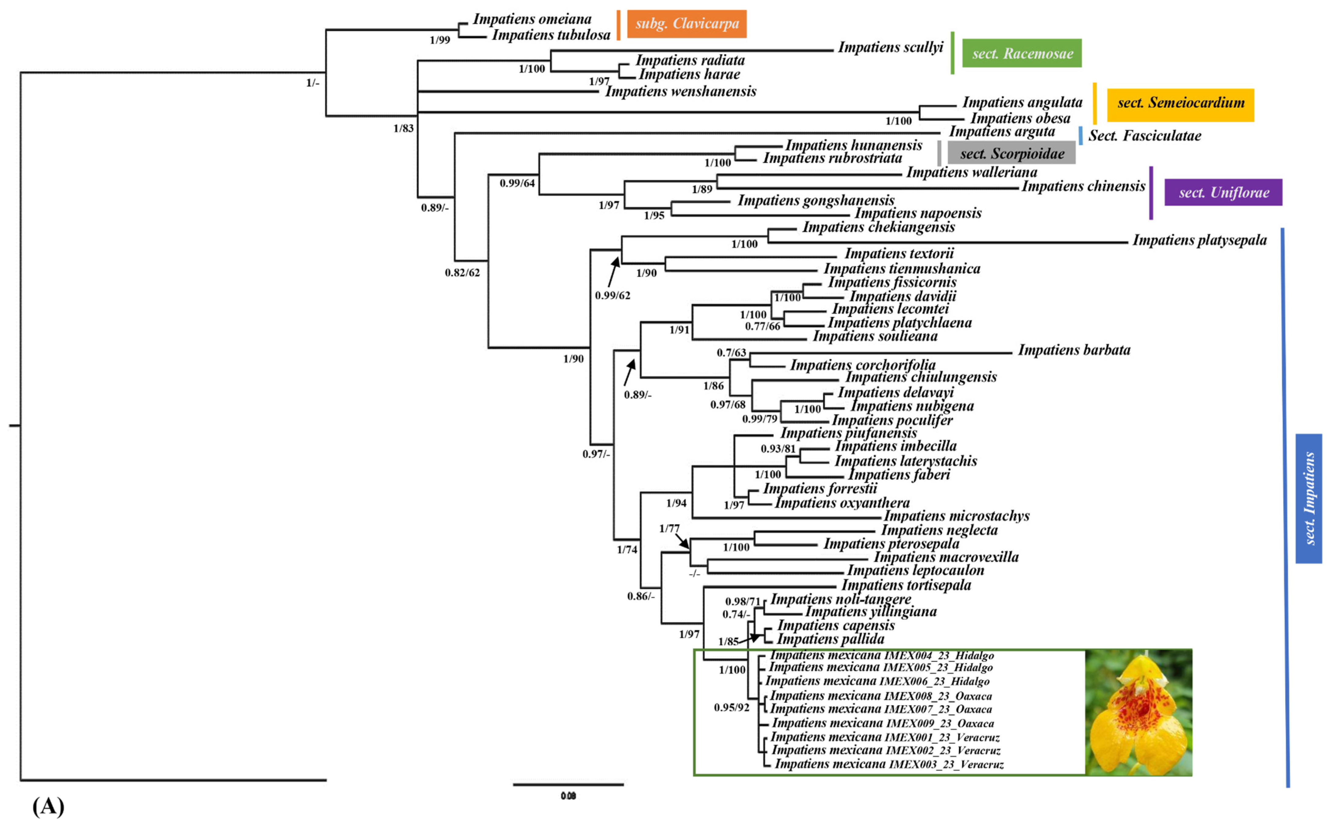 Diversity 16 00087 g007a