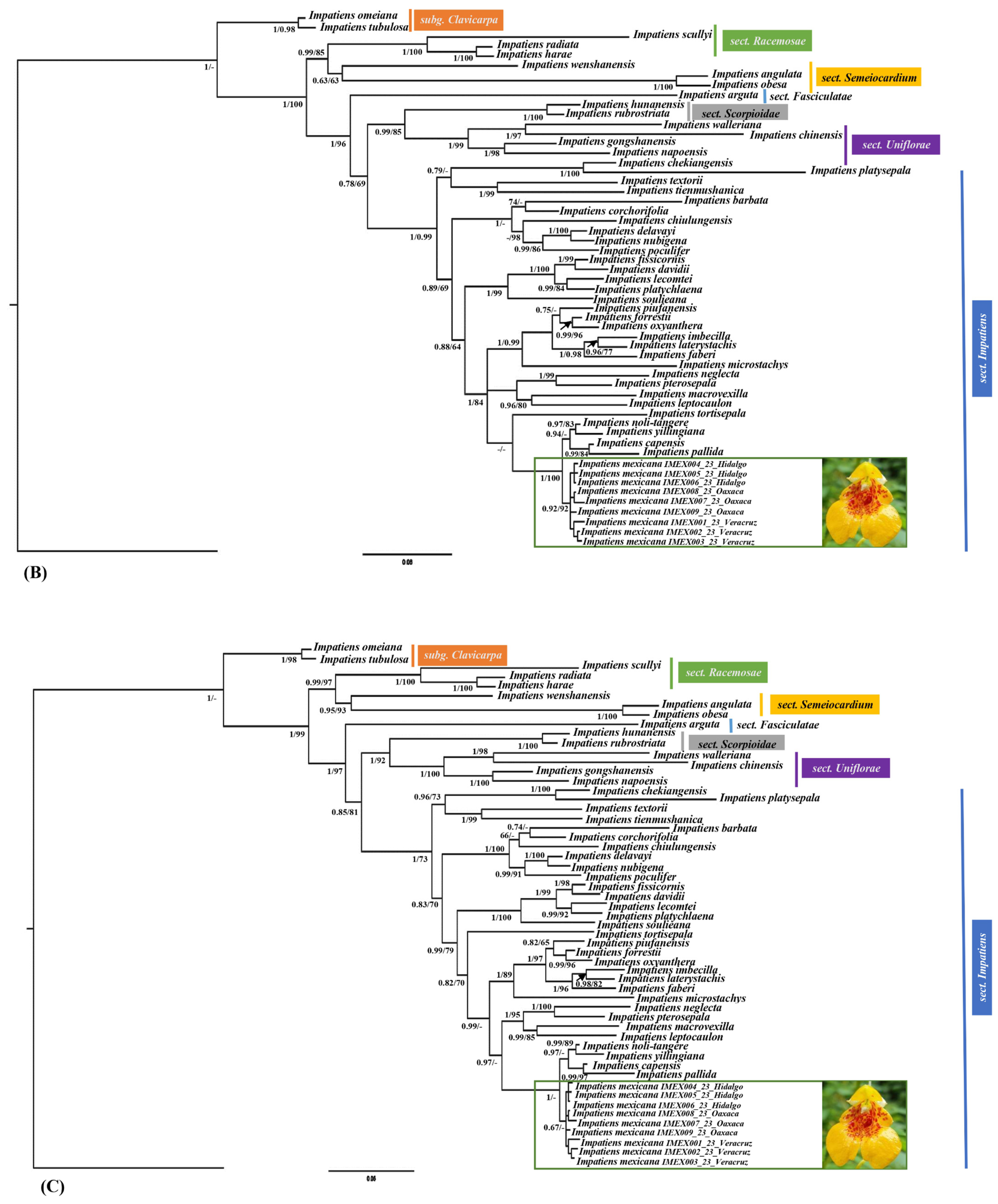 Diversity 16 00087 g007b