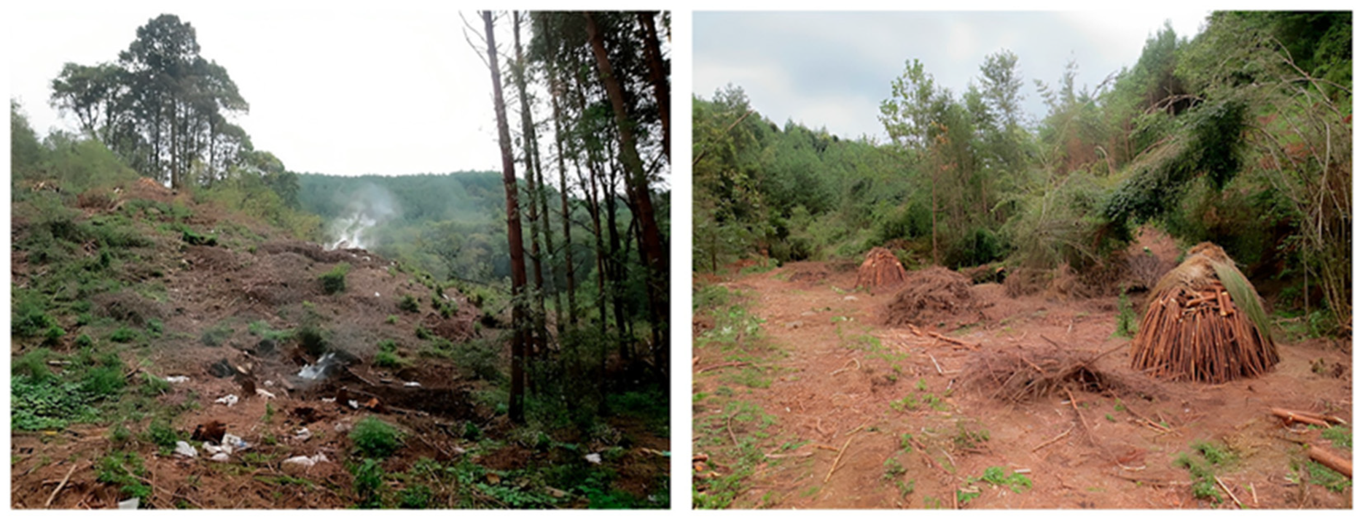 Diversity 16 00087 g0a1