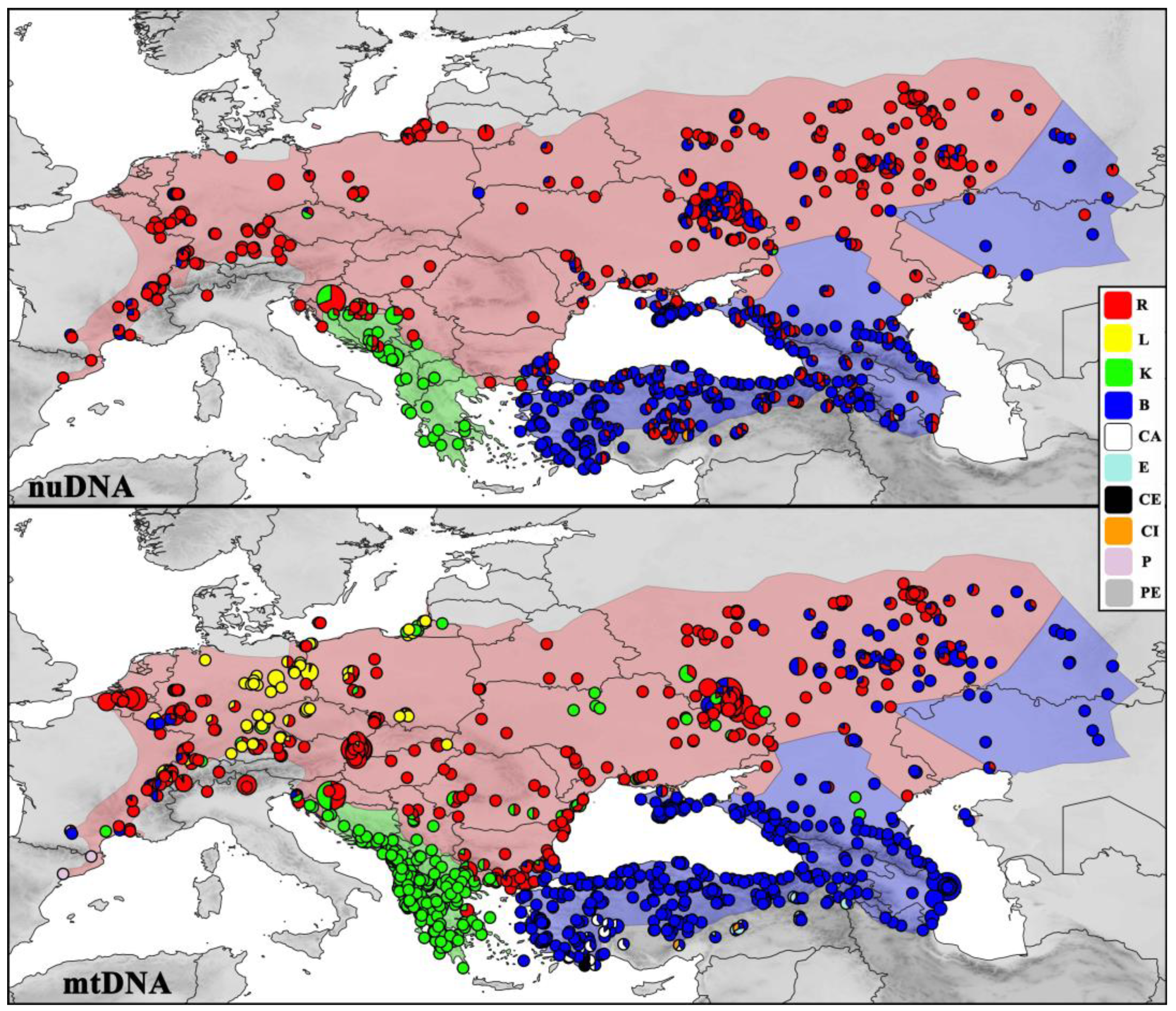 Diversity 16 00094 g001 Diversity 16 00094 g001